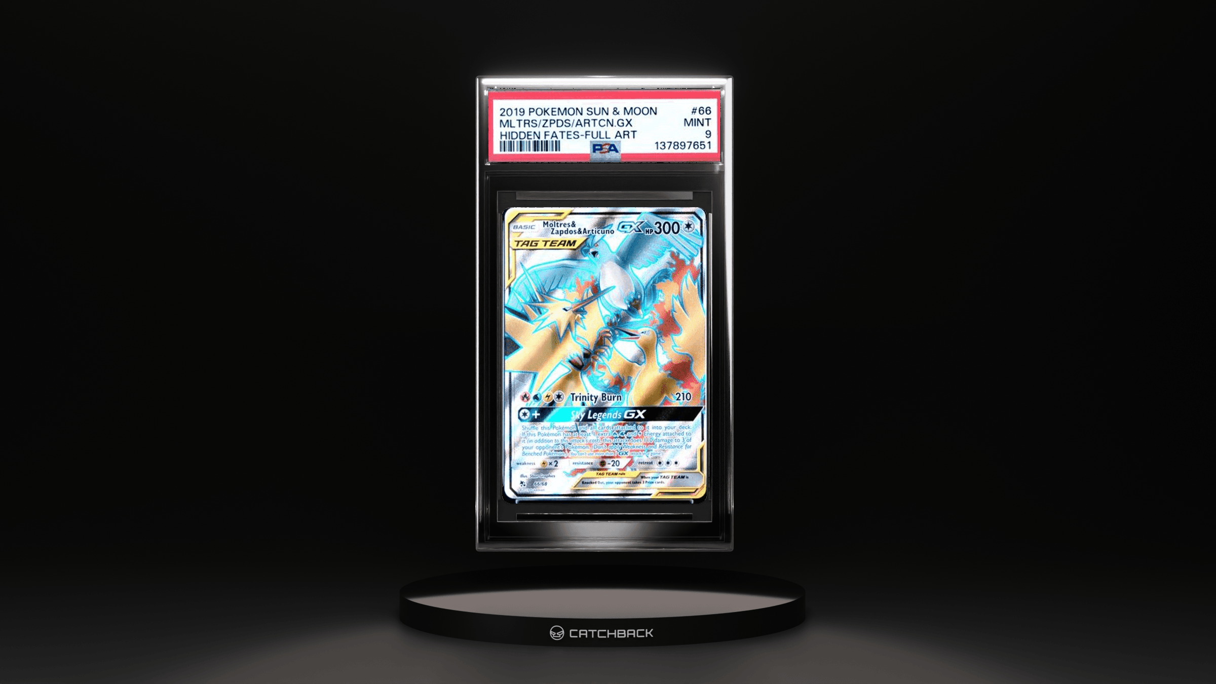 Mltrs/ Zpds/ Artcn.gx Hidden Fates-full Art