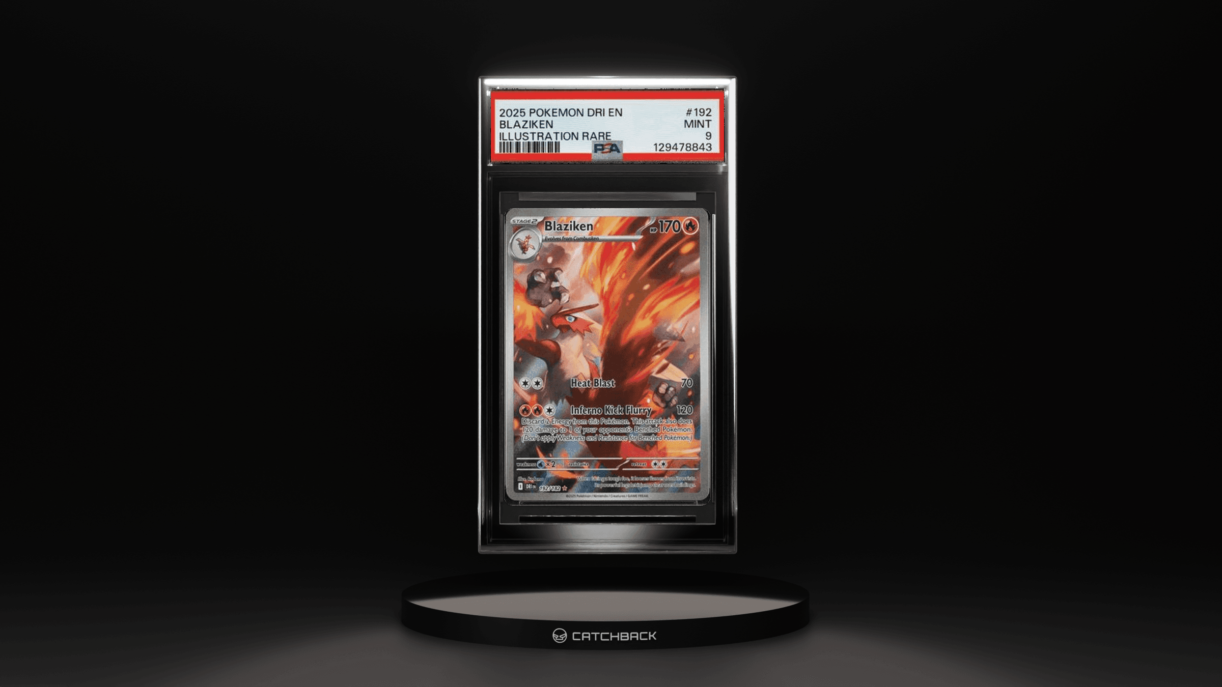 Blaziken Illustration Rare