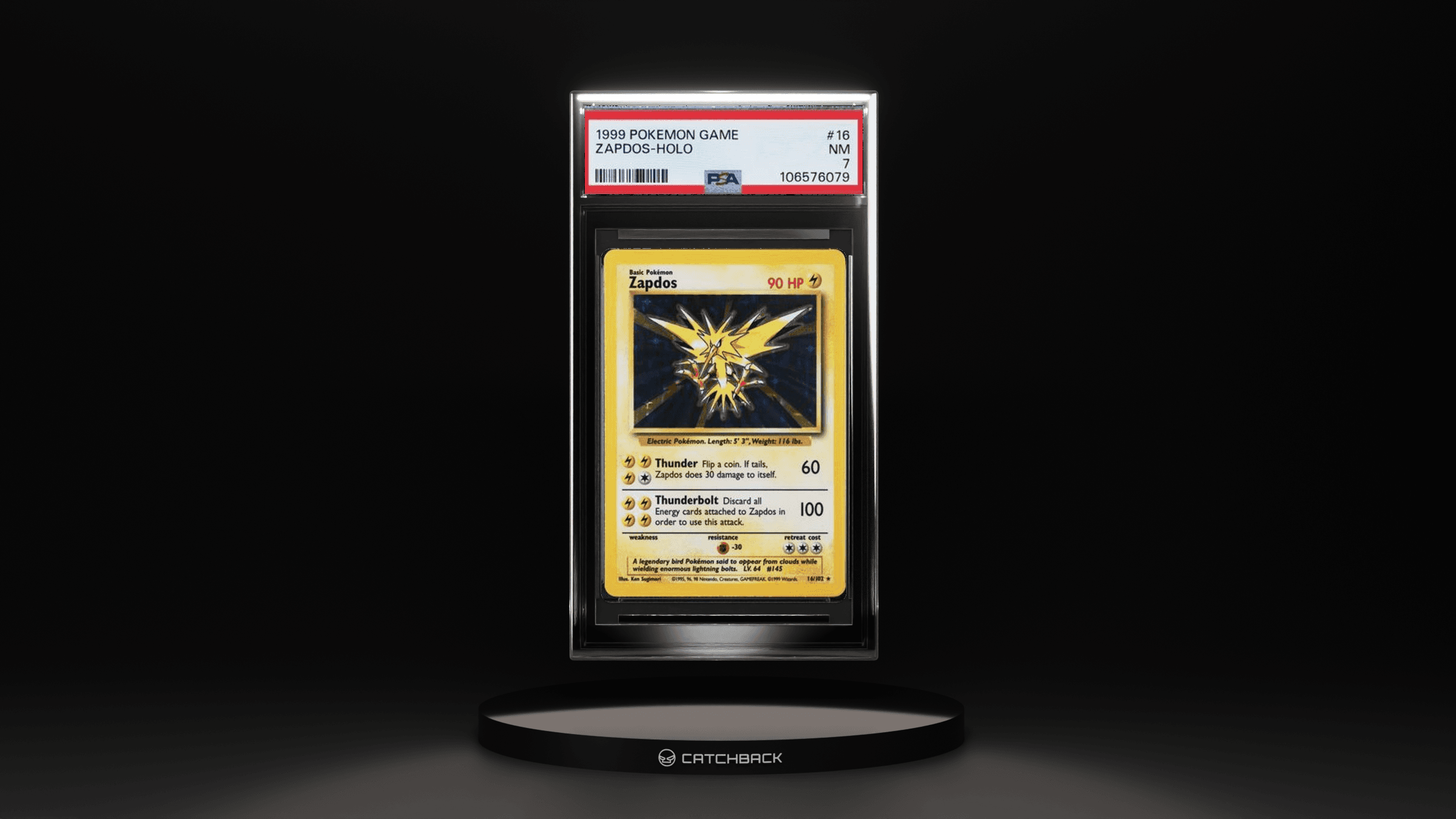 Zapdos-holo