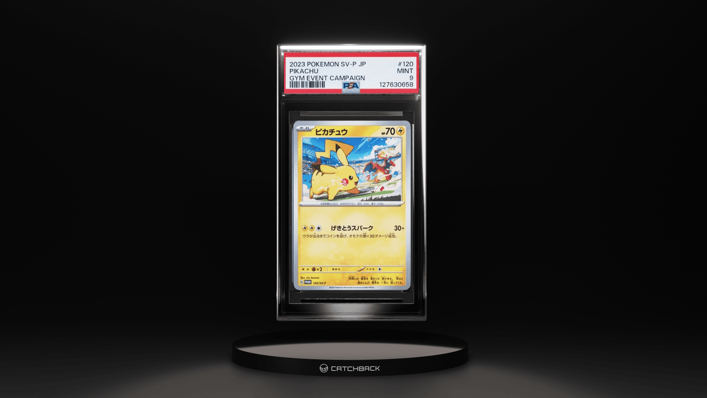 Pikachu Gym Event Campaign