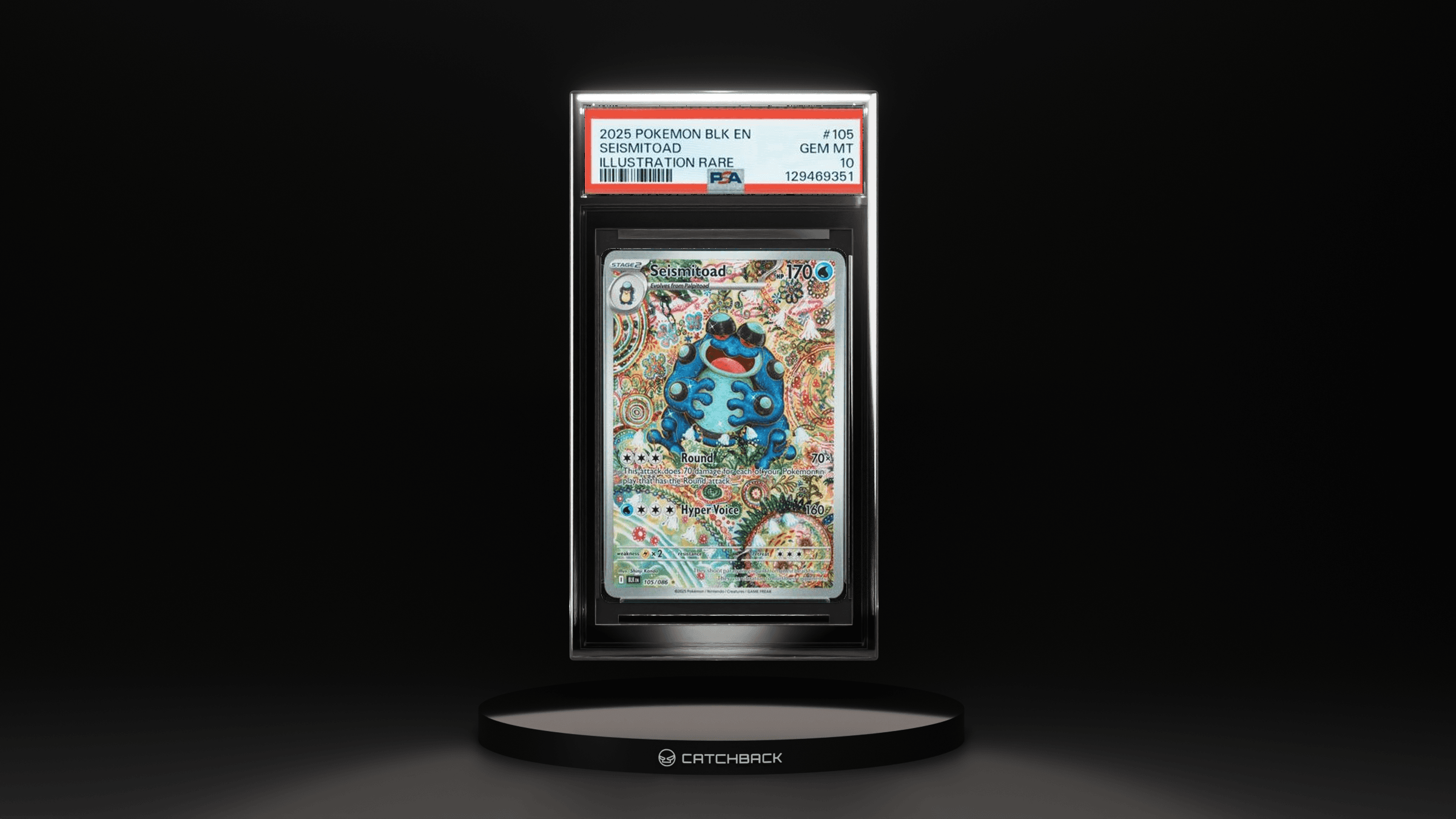 Seismitoad Illustration Rare