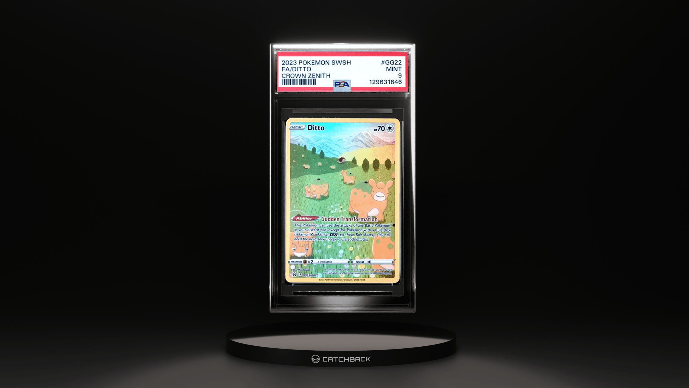 Fa/ Ditto Crown Zenith