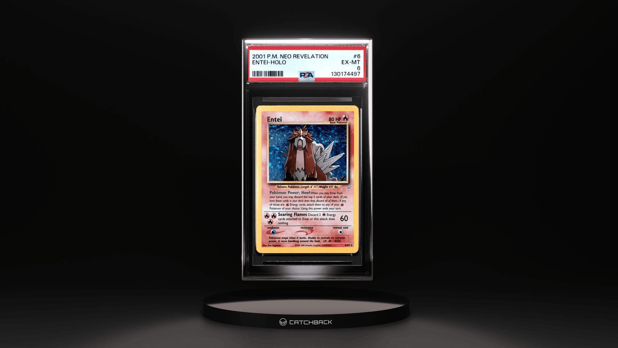Entei-holo