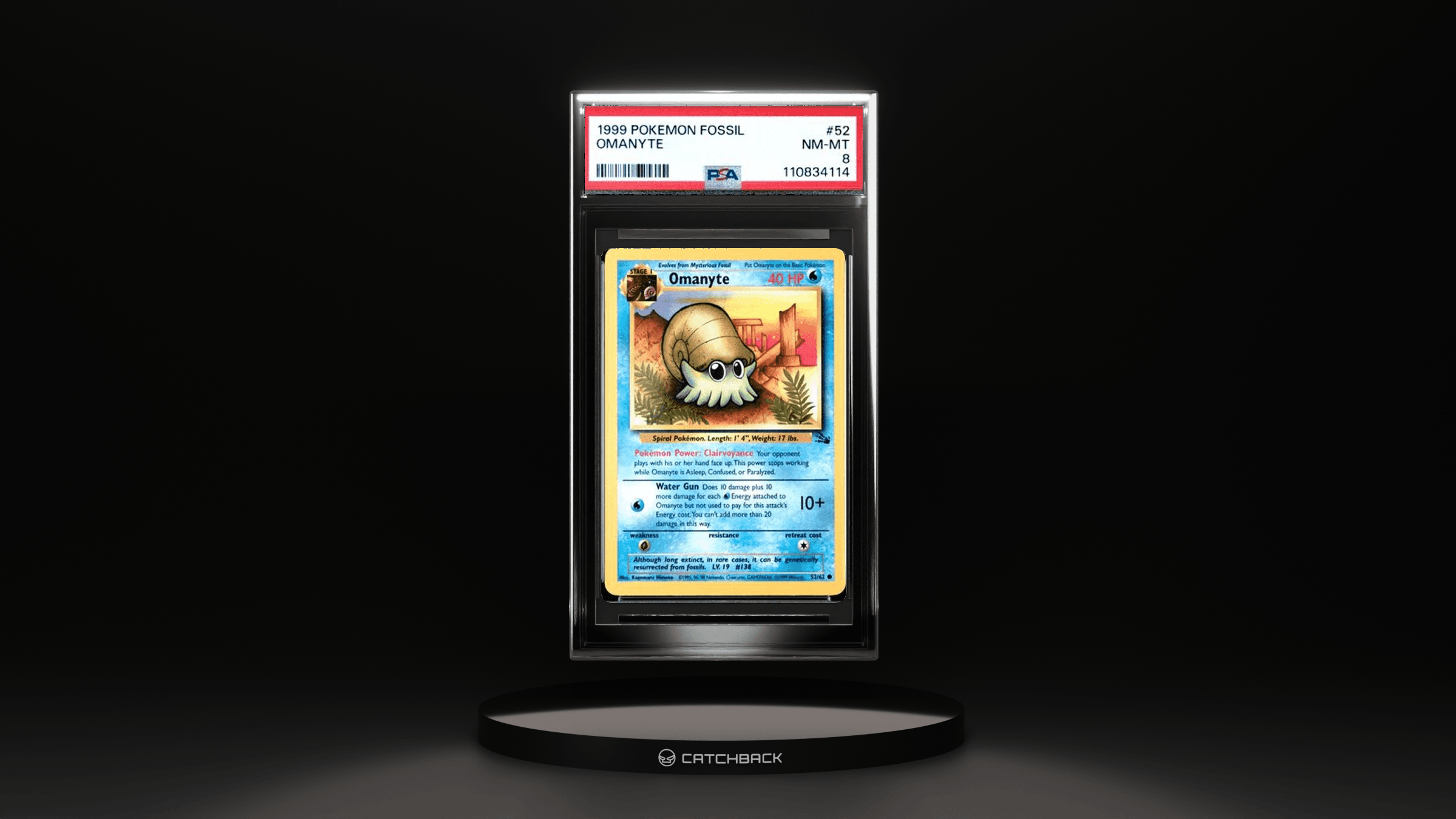 Omanyte