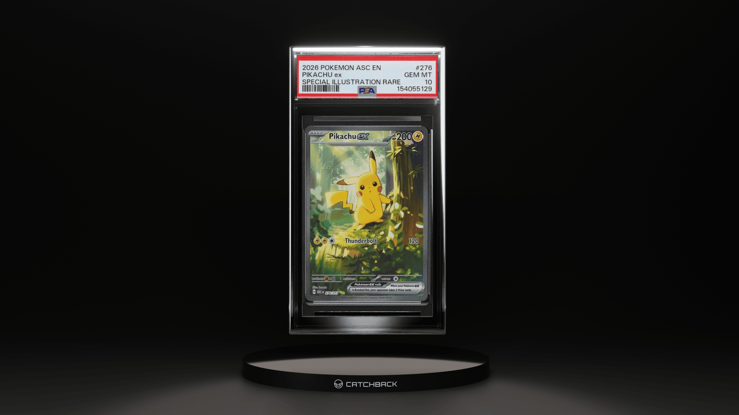 Pikachu Ex Special Illustration Rare