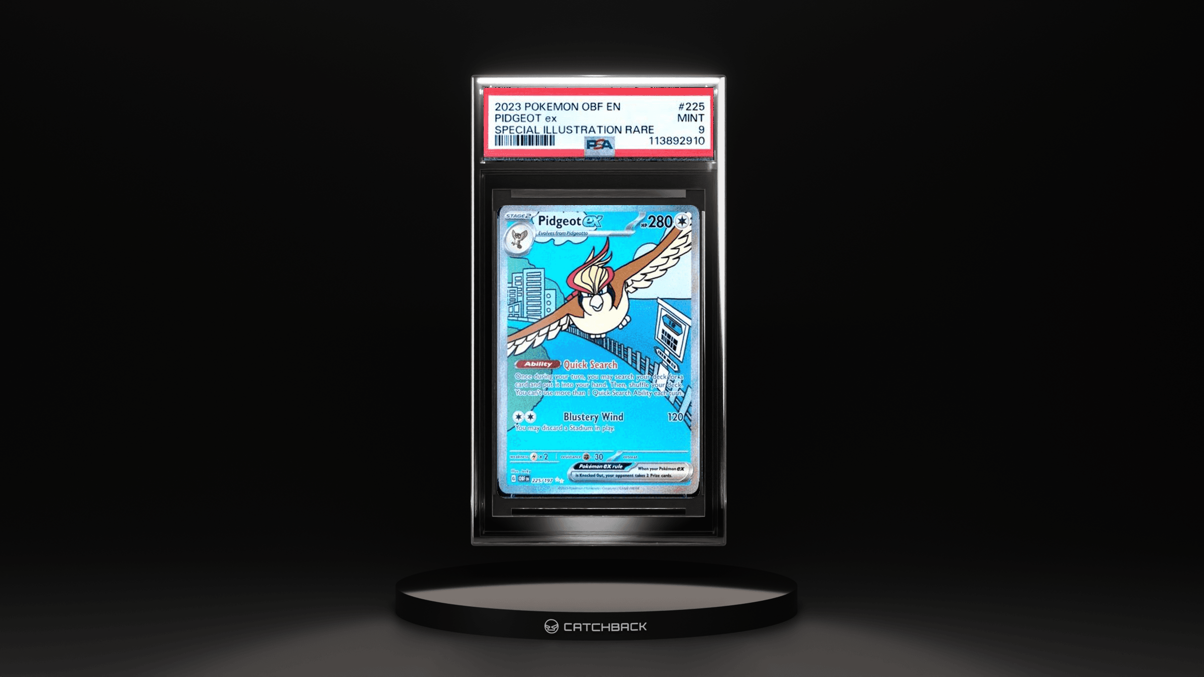 Pidgeot Ex Special Illustration Rare