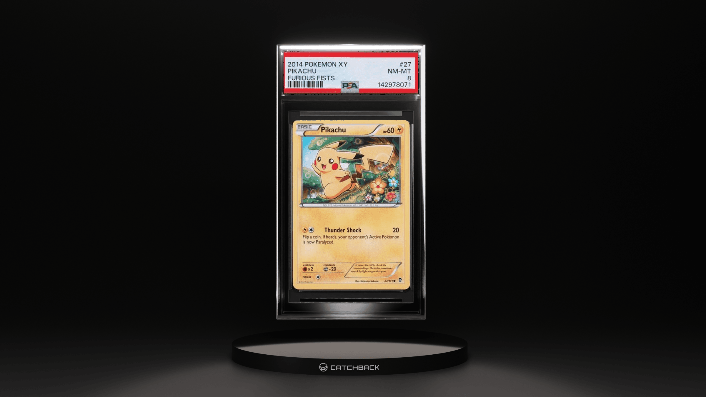 Pikachu Furious Fists