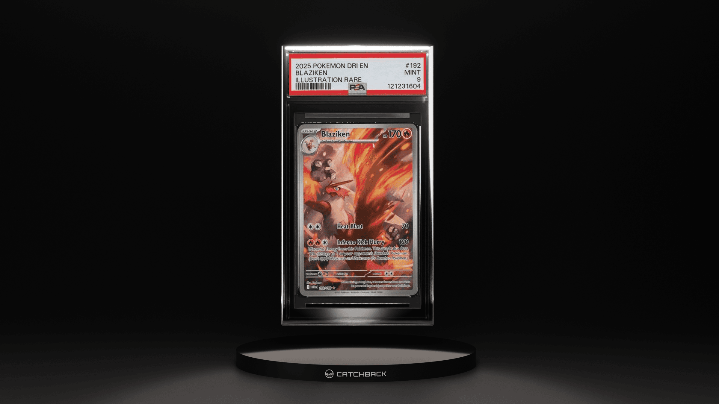 Blaziken Illustration Rare