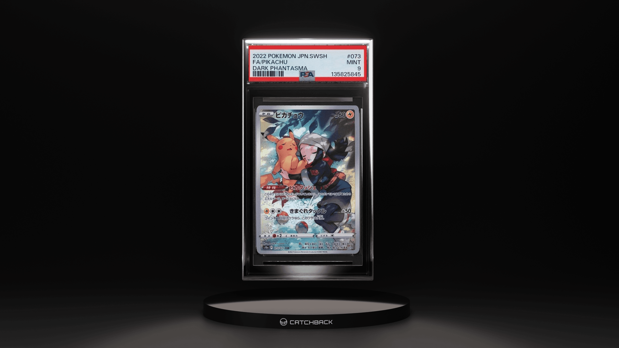 Fa/ Pikachu Dark Phantasma