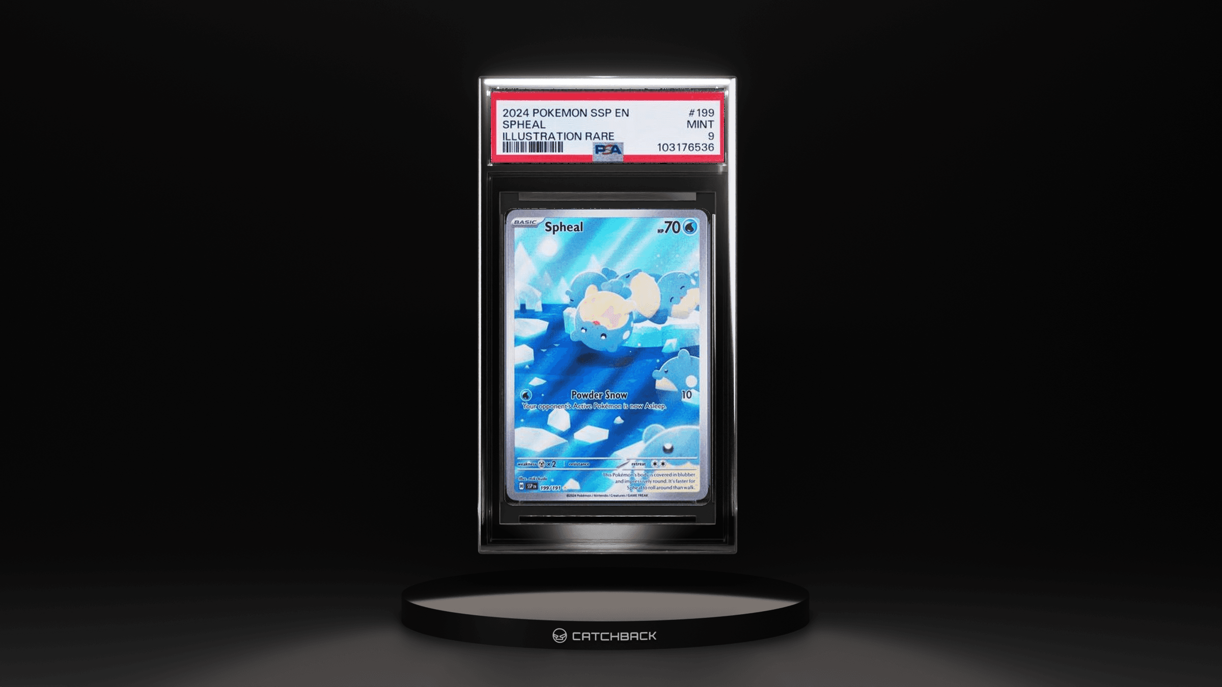 Spheal Illustration Rare