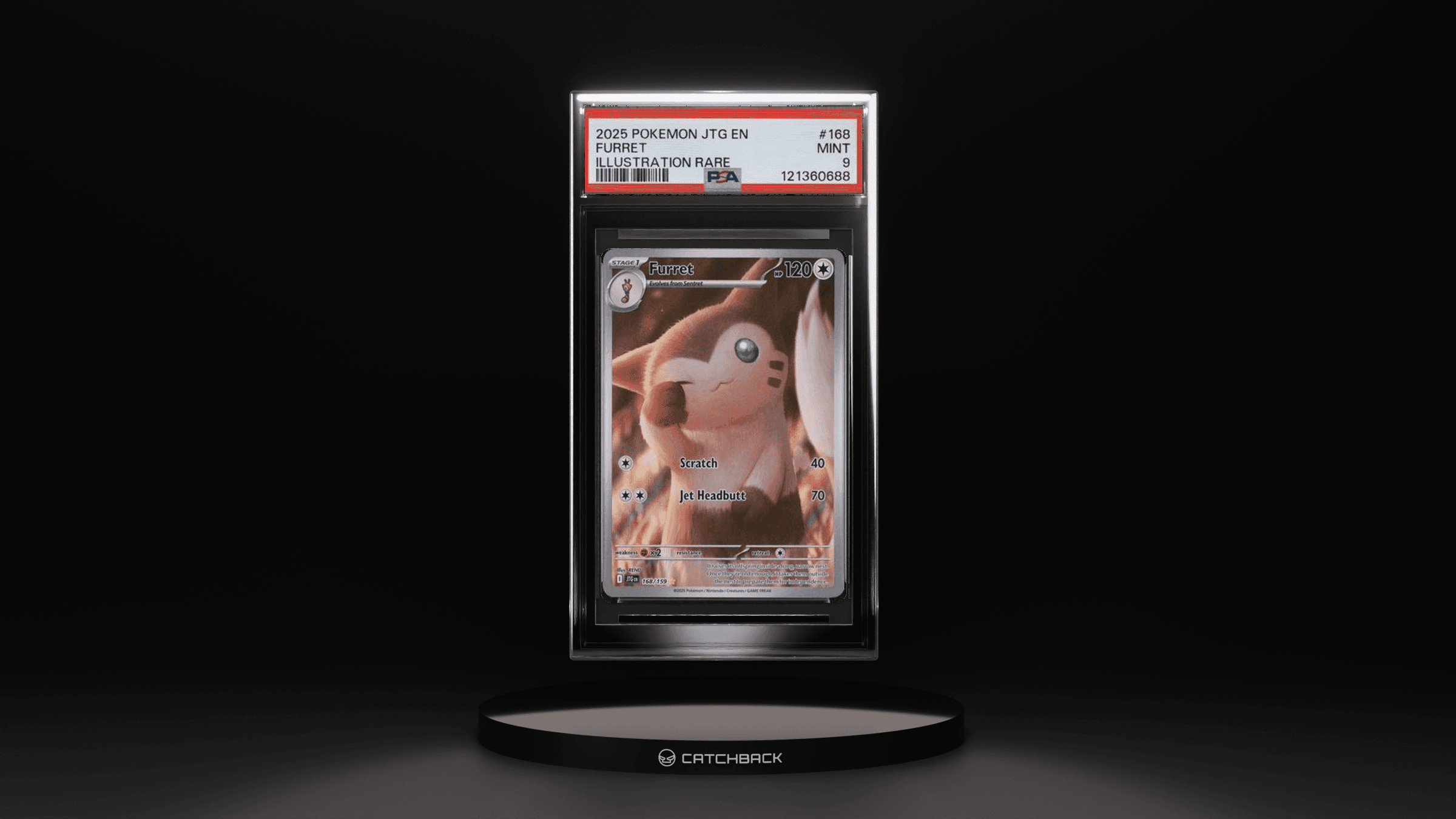 Furret Illustration Rare
