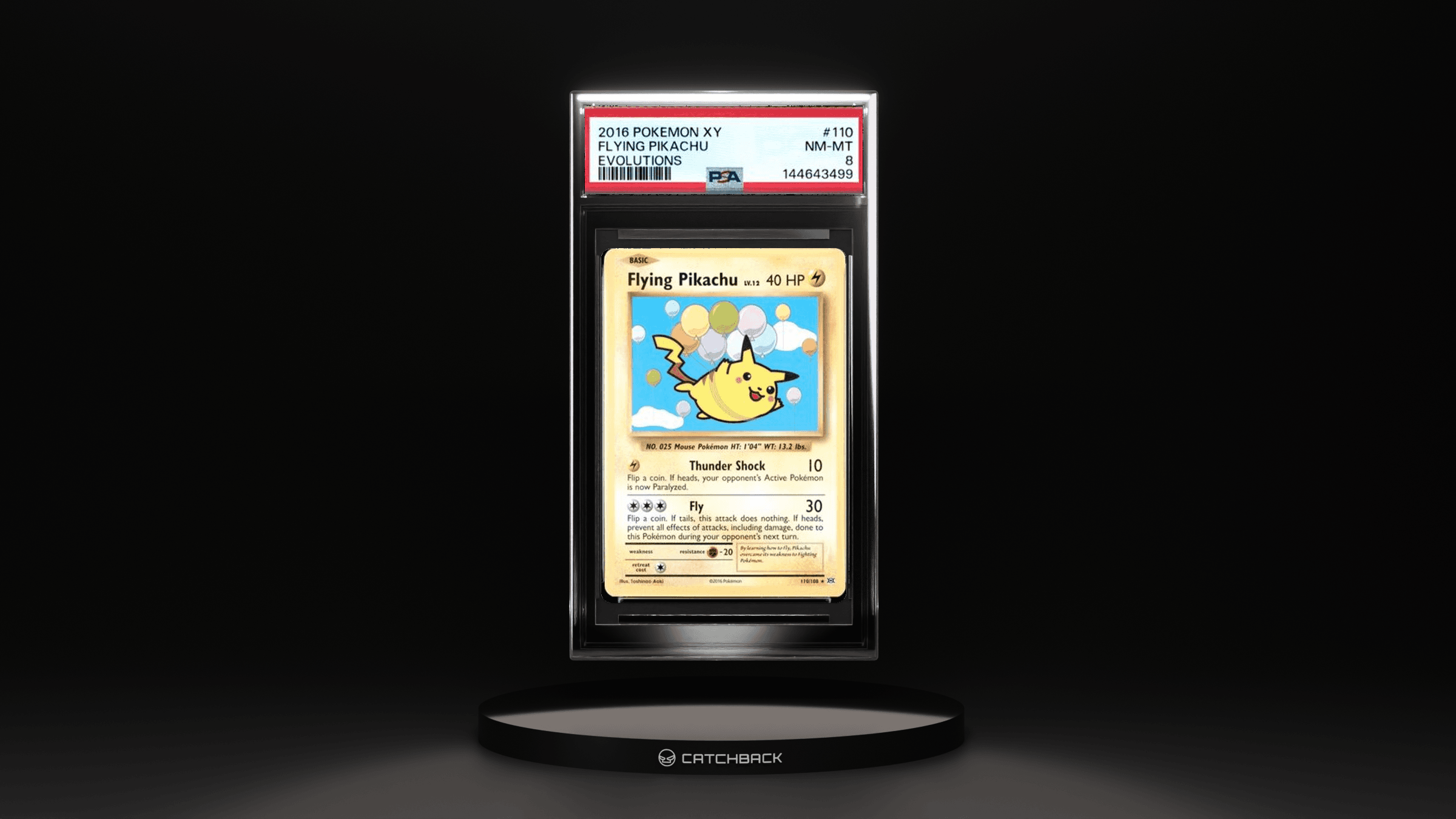Flying Pikachu Evolutions