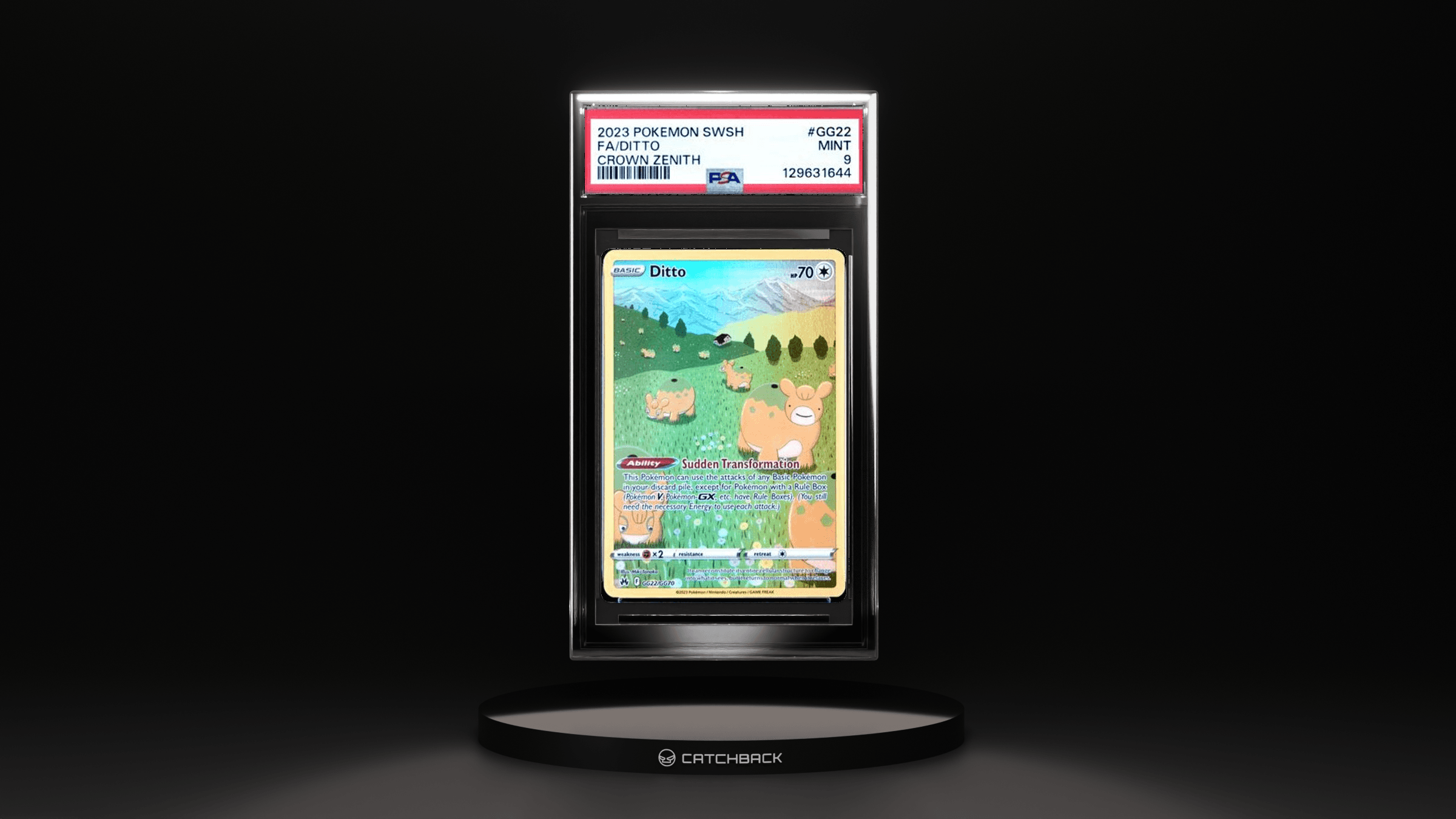 Fa/ Ditto Crown Zenith
