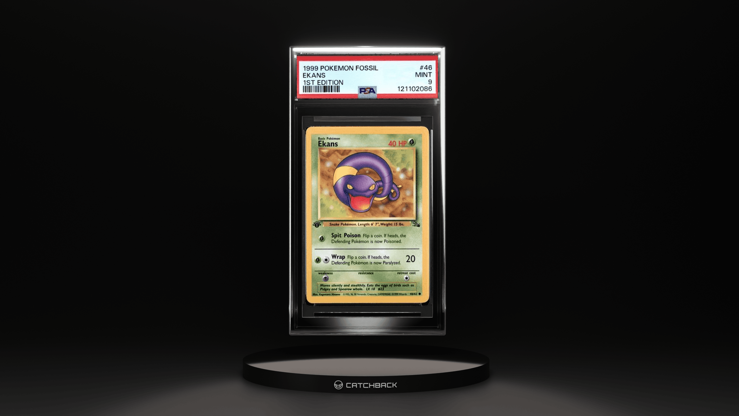 Ekans 1st Edition