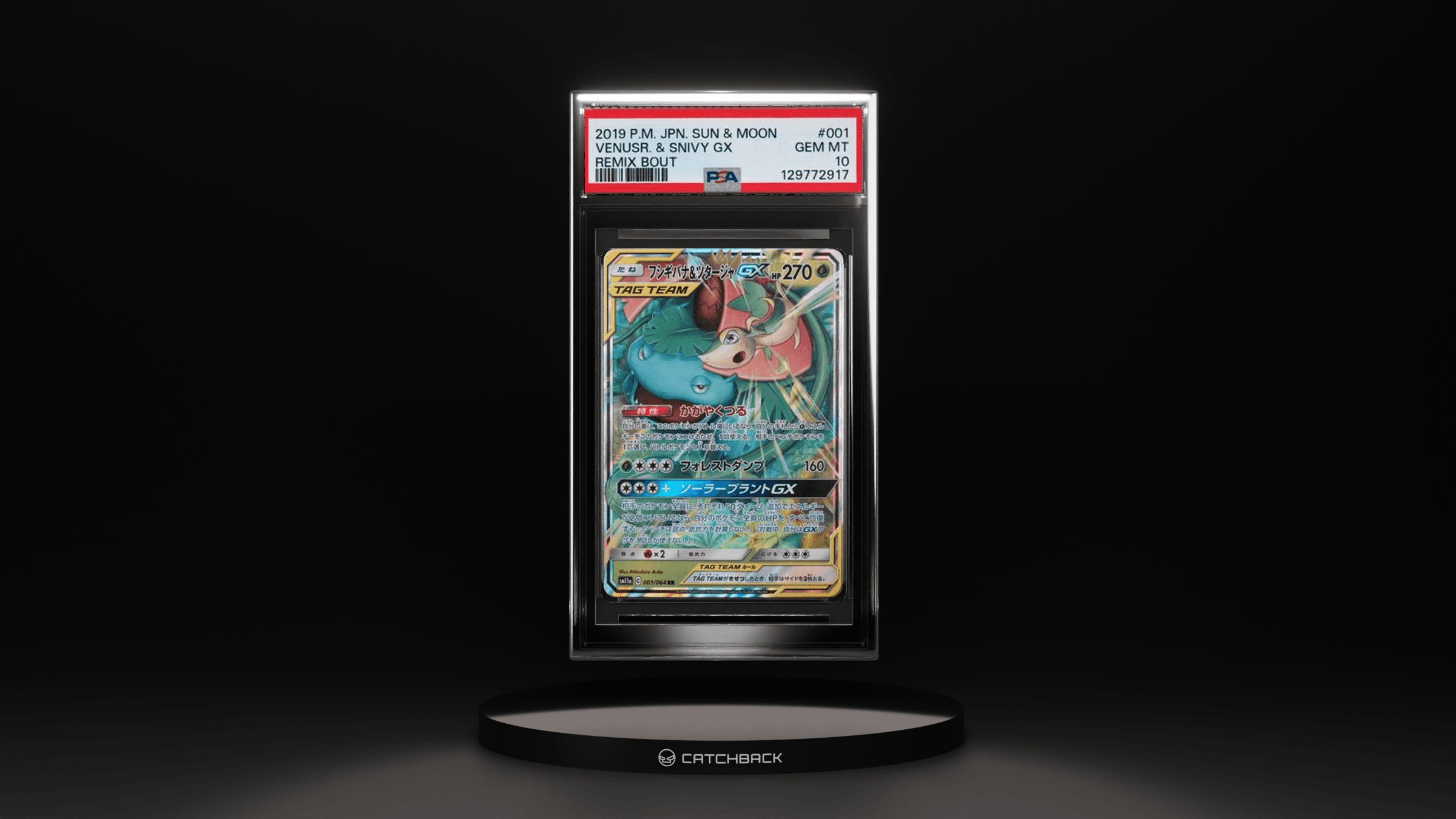 Venusr. & Snivy Gx