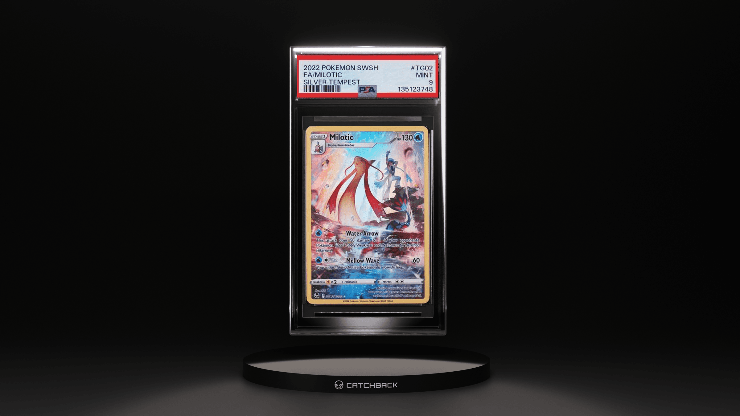 Fa/ Milotic Silver Tempest