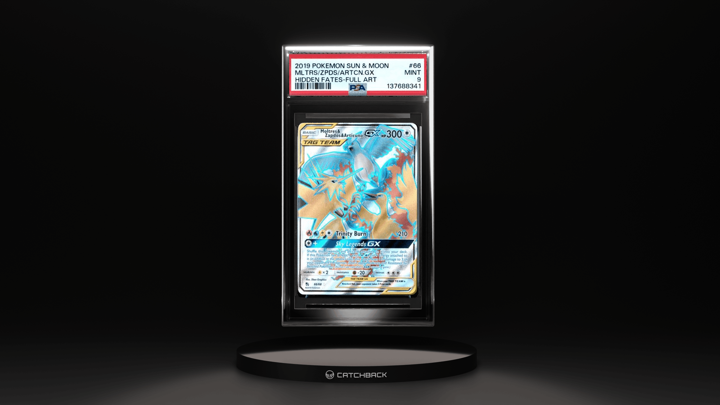 Mltrs/ Zpds/ Artcn.gx Hidden Fates-full Art