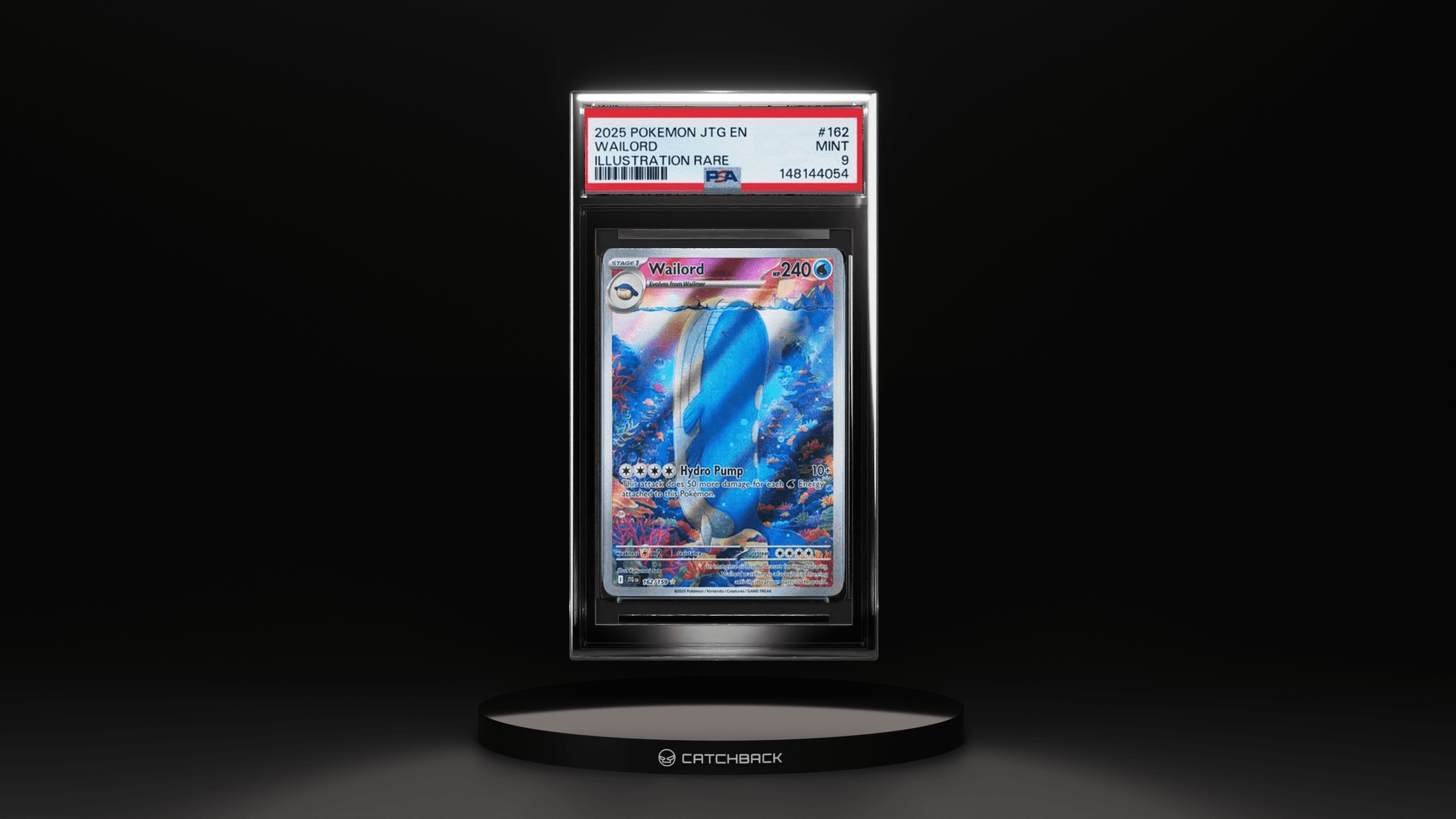 Wailord Illustration Rare