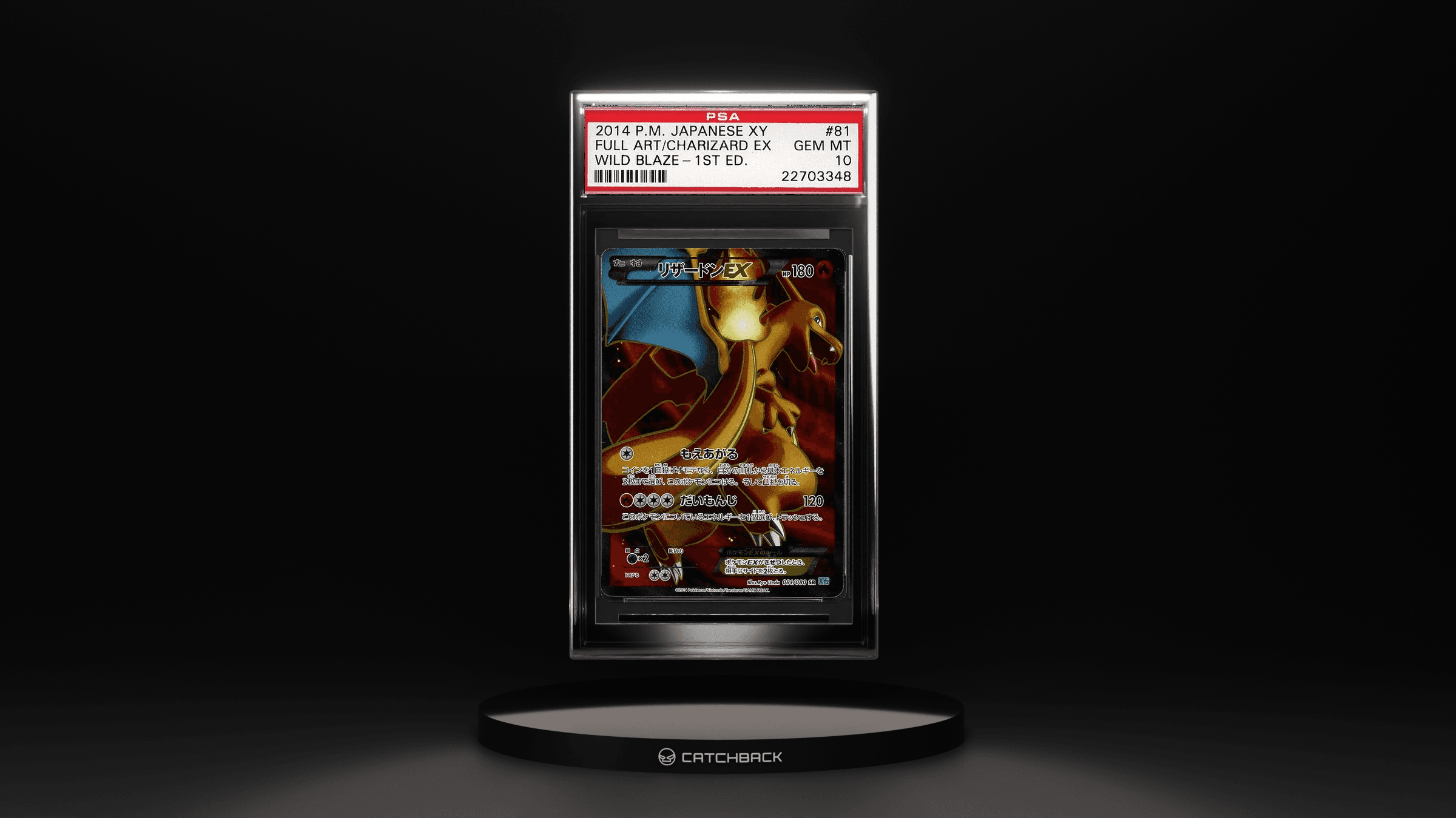 Fa/ Charizard Ex Wild Blaze-1st Ed.