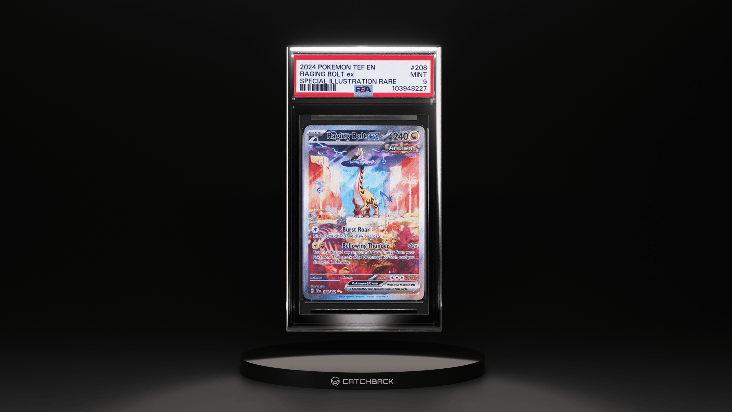 Raging Bolt Ex Special Illustration Rare