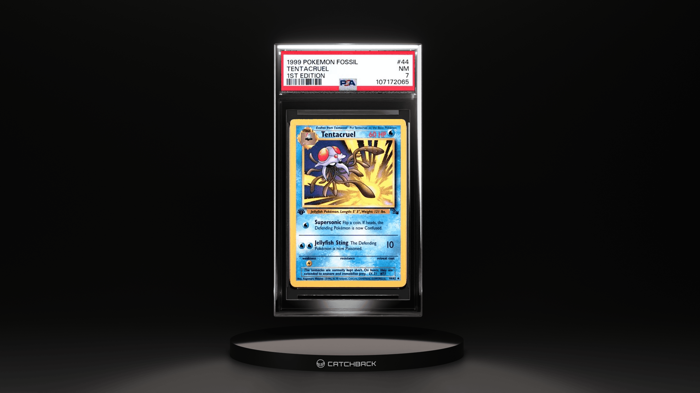 Tentacruel 1st Edition