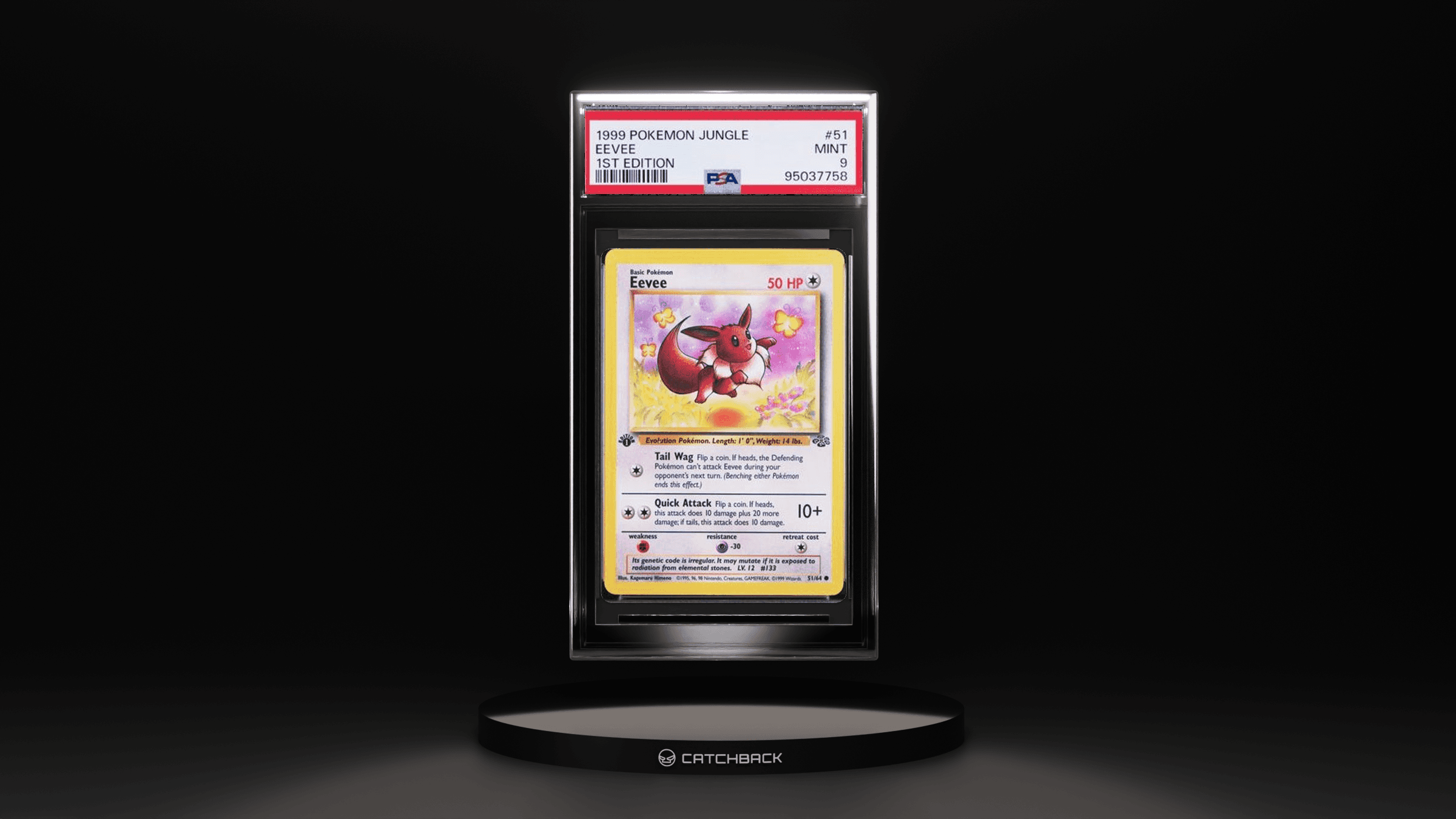 Eevee 1st Edition