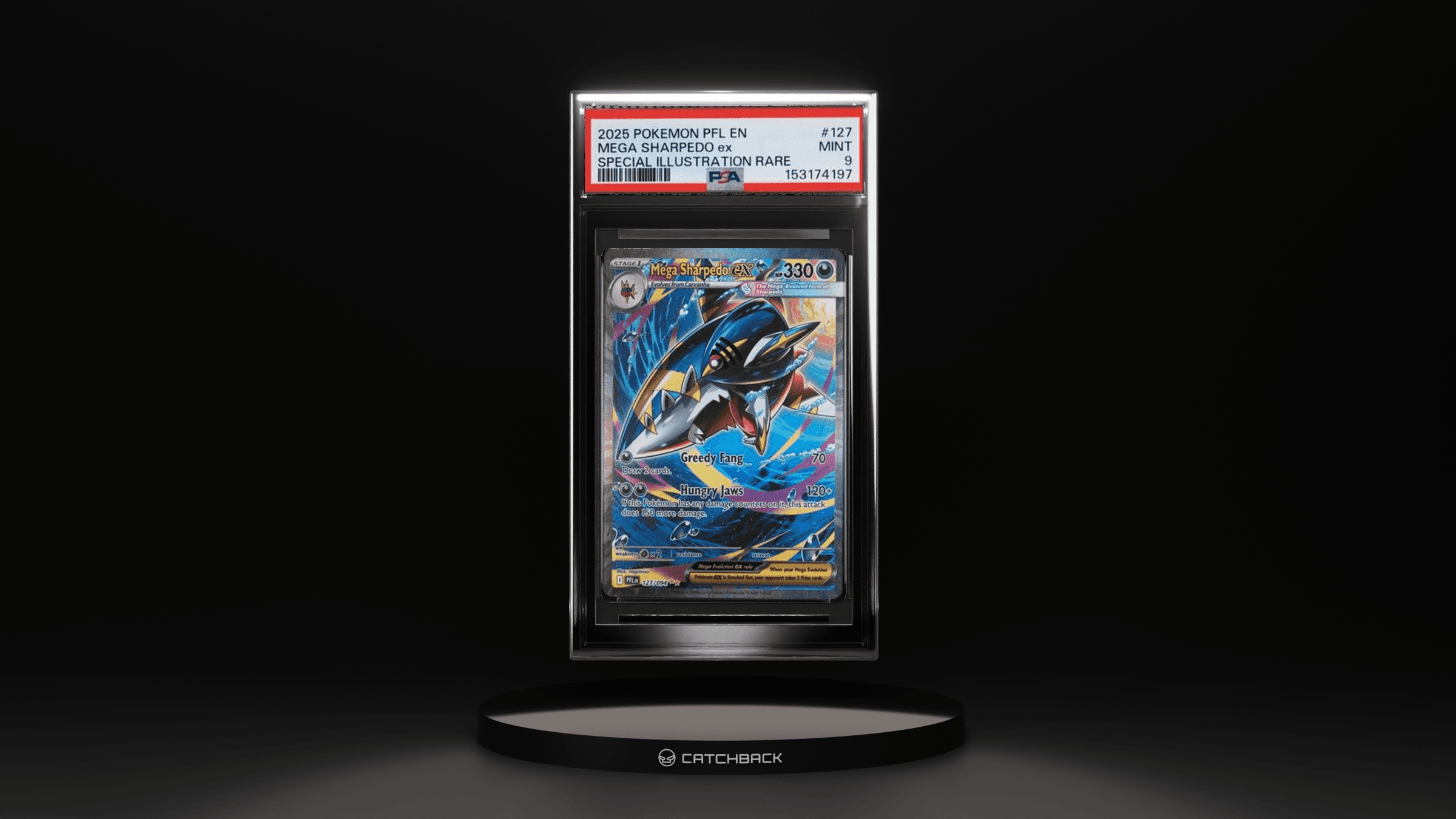 Mega Sharpedo Ex Special Illustration Rare