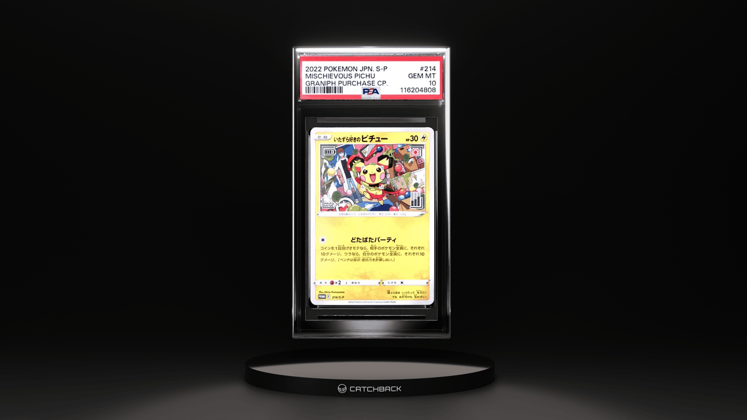 Japanese Mischievous Pichu Graniph Purchase Cp.