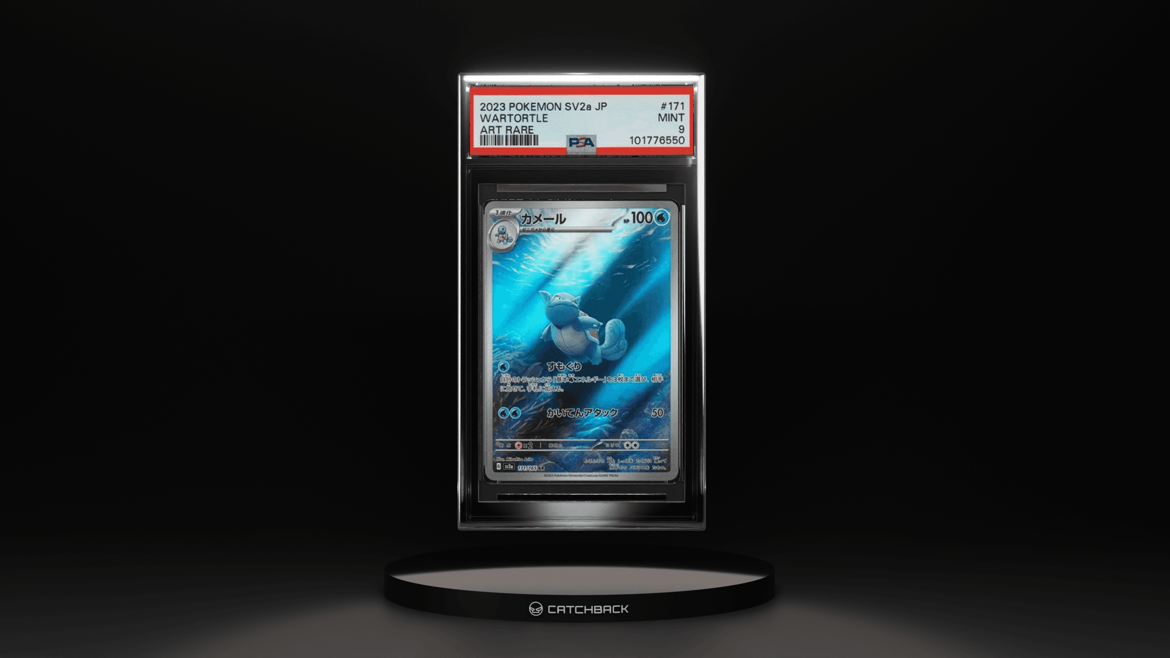 Wartortle Art Rare