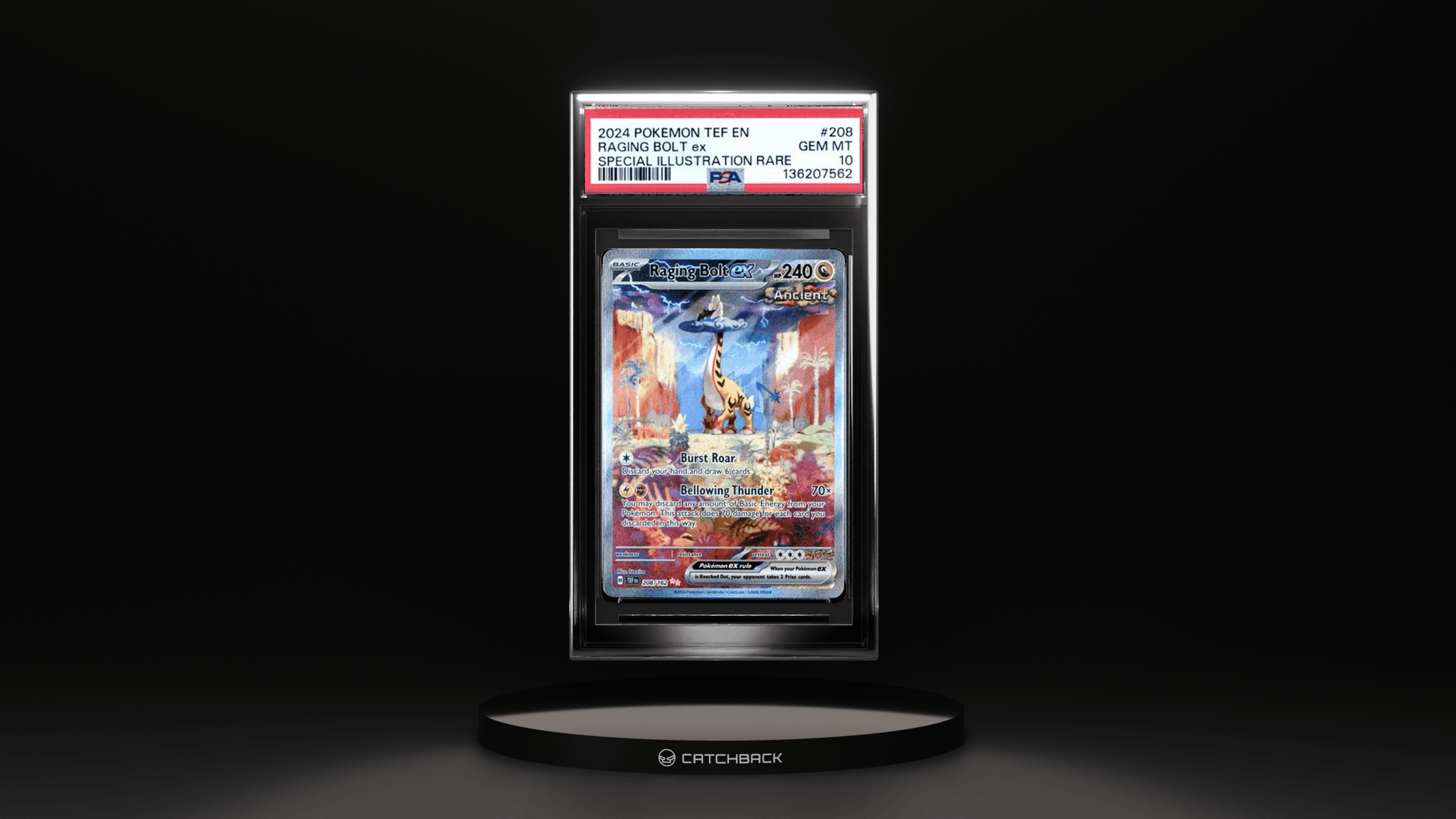 Raging Bolt Ex Special Illustration Rare
