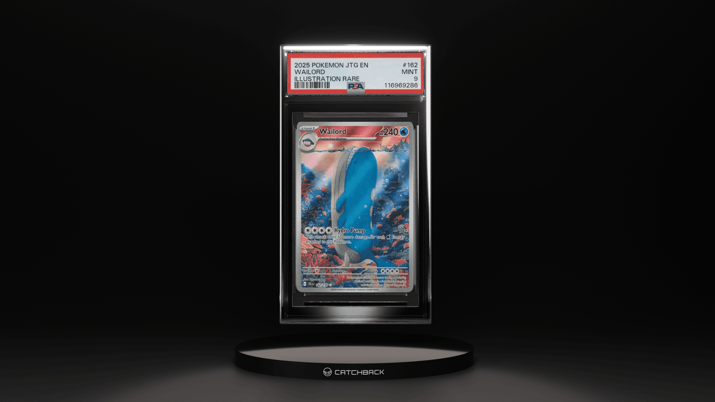 Wailord Illustration Rare