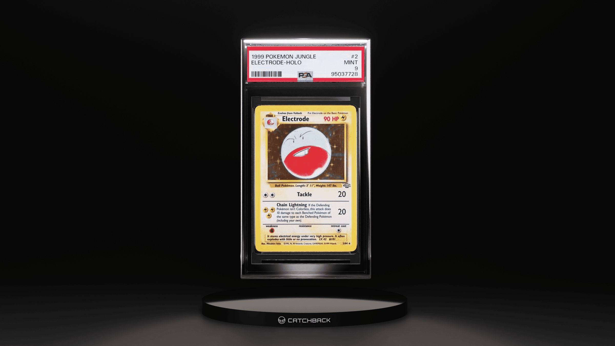 Electrode-Holo