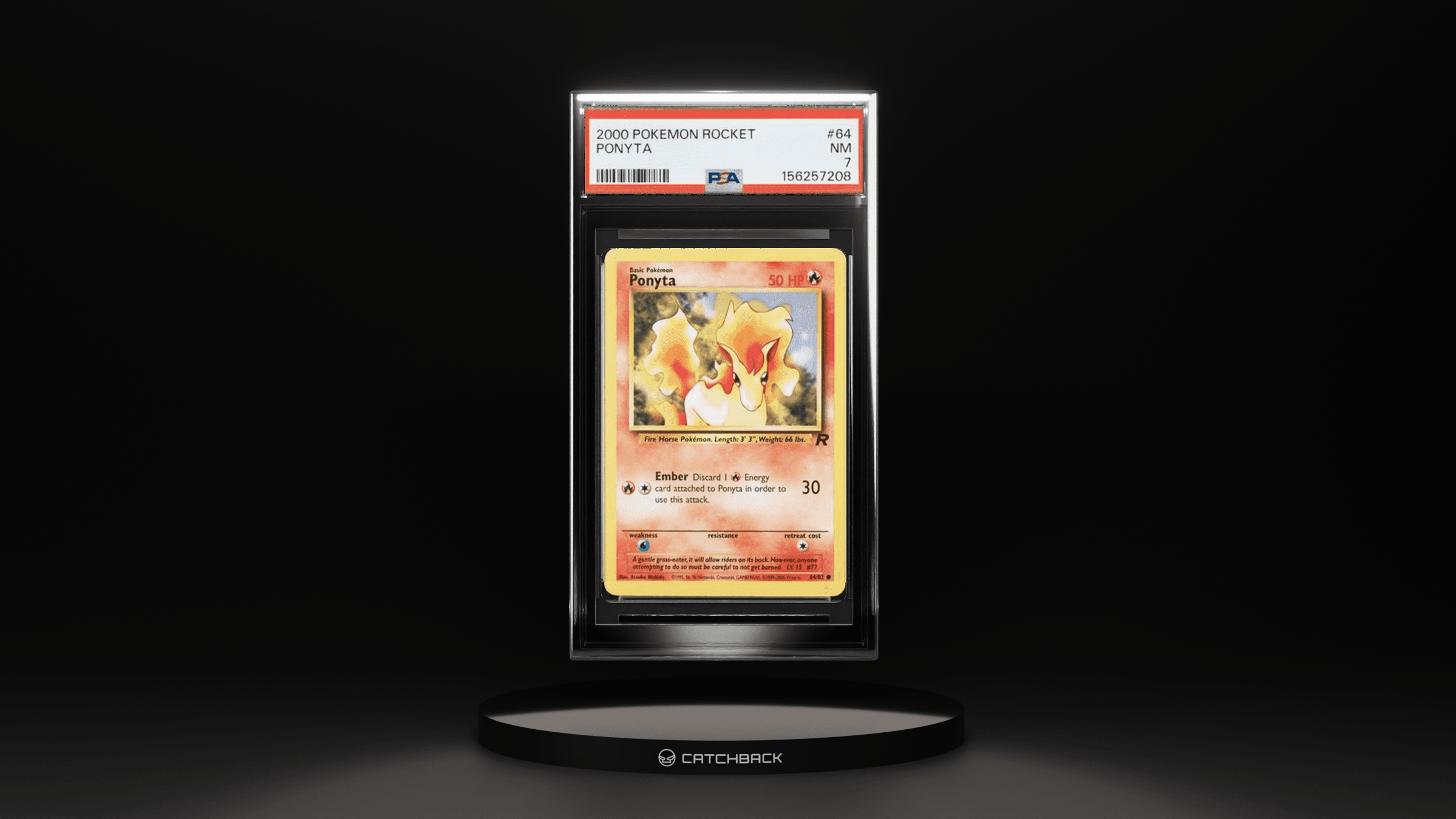 Ponyta