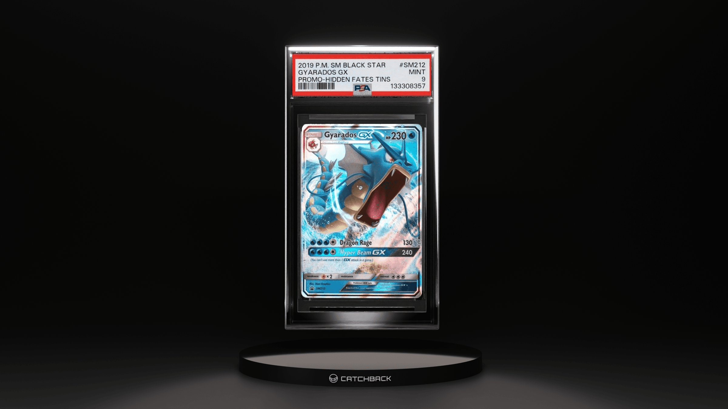 Gyarados Gx Promo-hidden Fates Tins