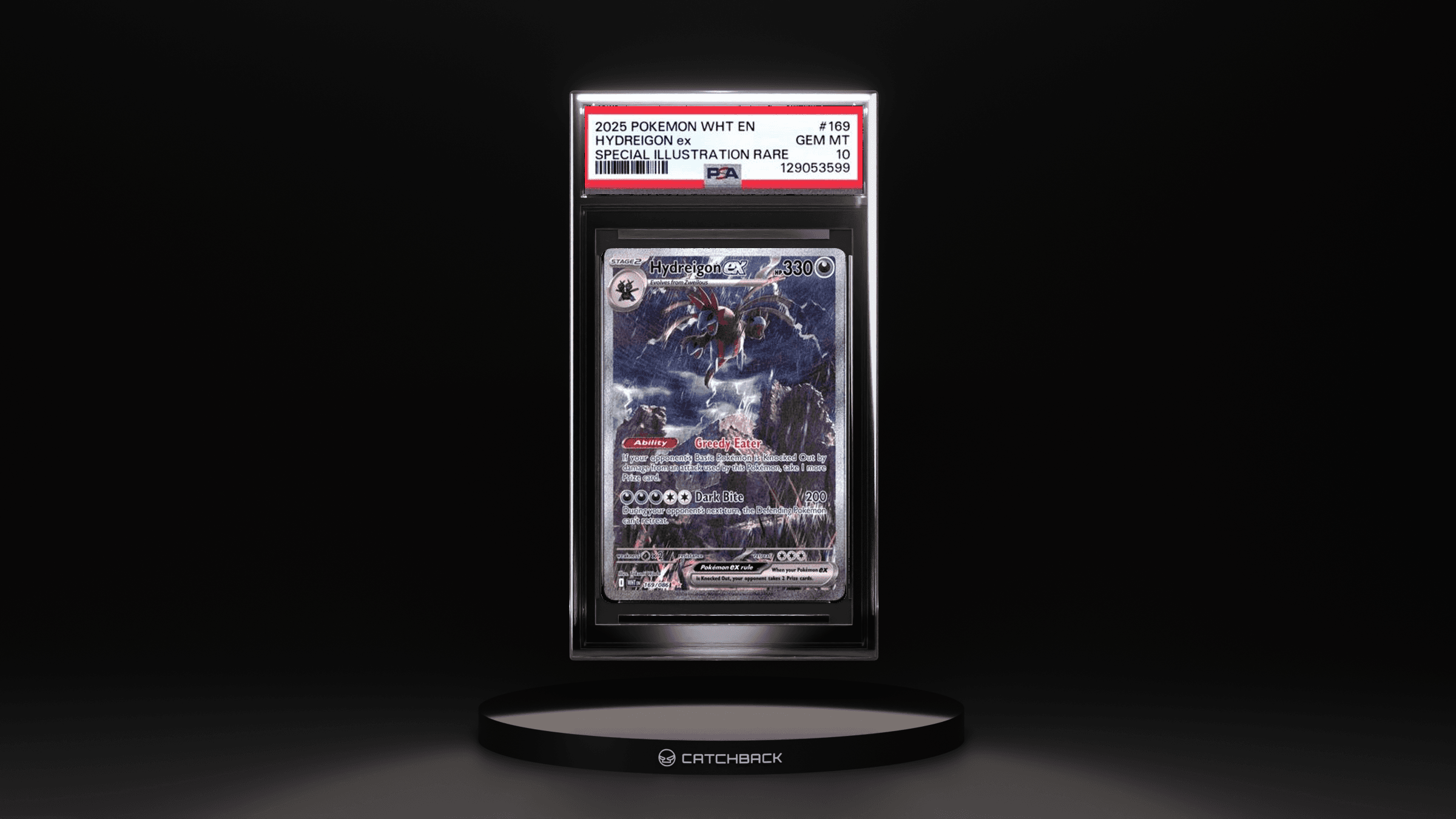 Hydreigon Ex Special Illustration Rare