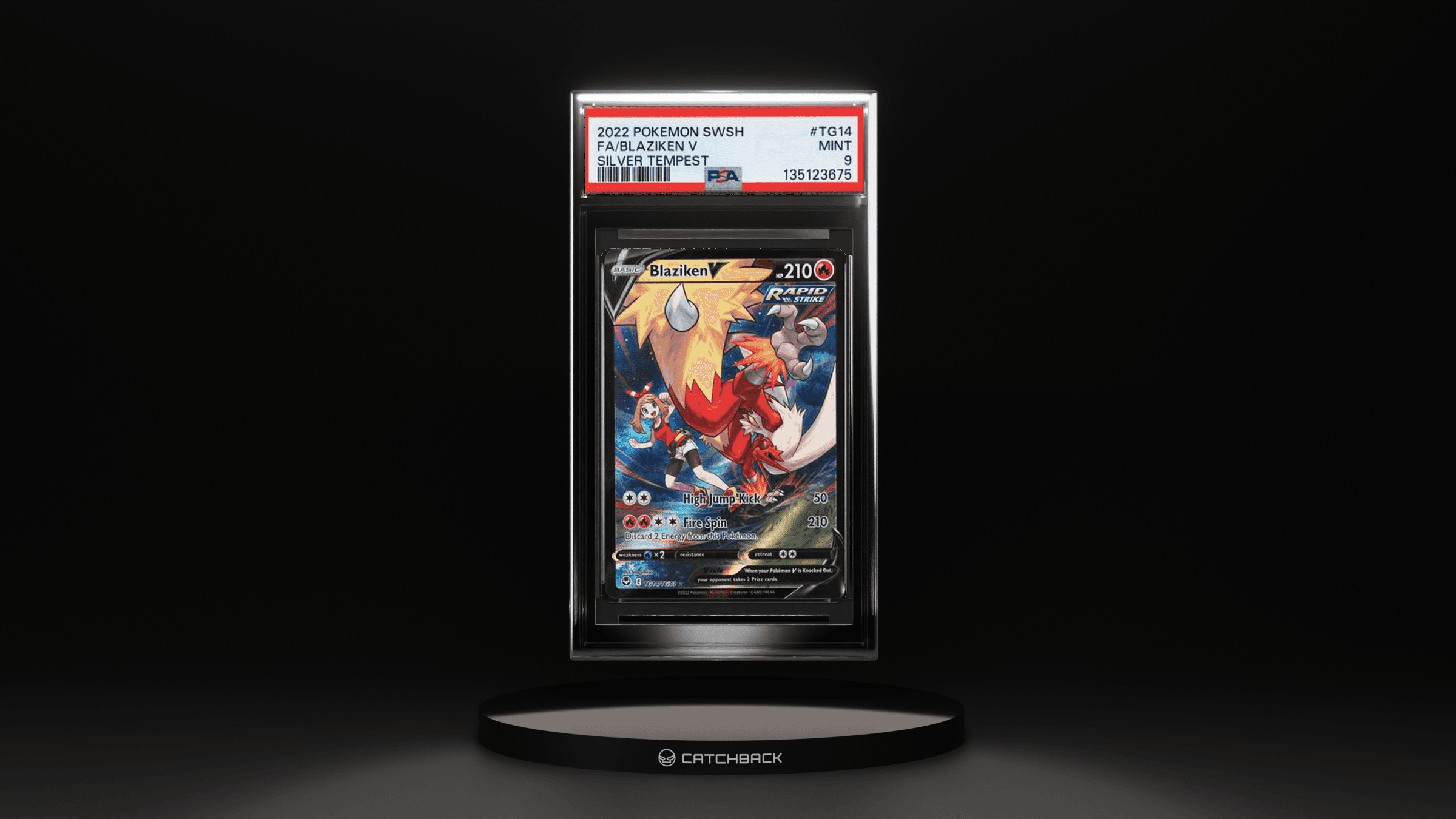 Fa/ Blaziken V Silver Tempest