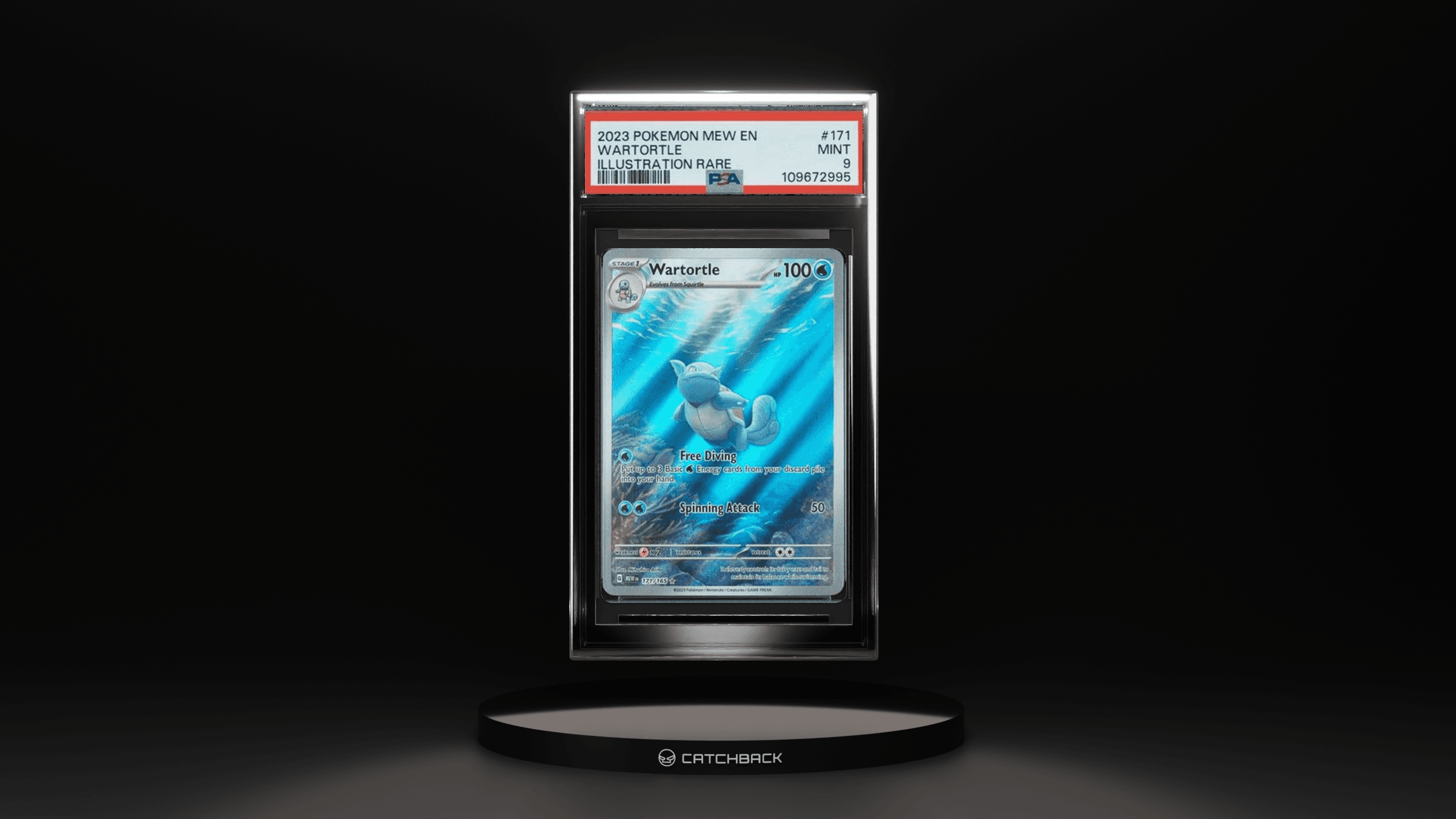 Wartortle Illustration Rare