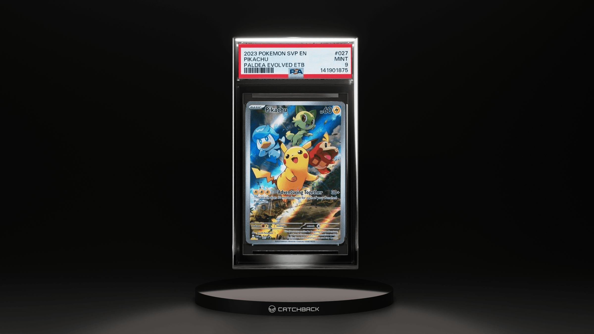 Pikachu Paldea Evolved Etb