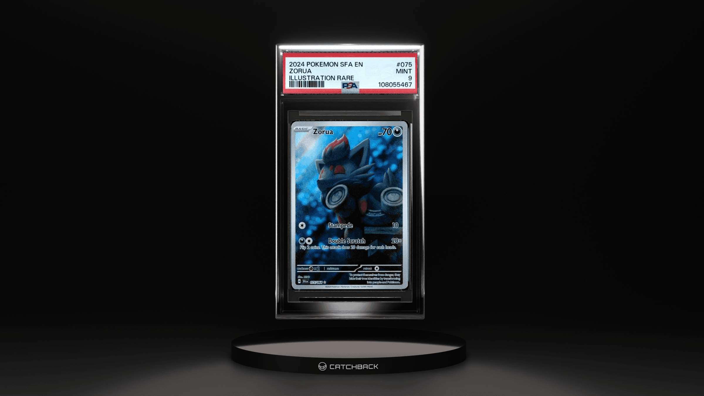 Zorua Illustration Rare