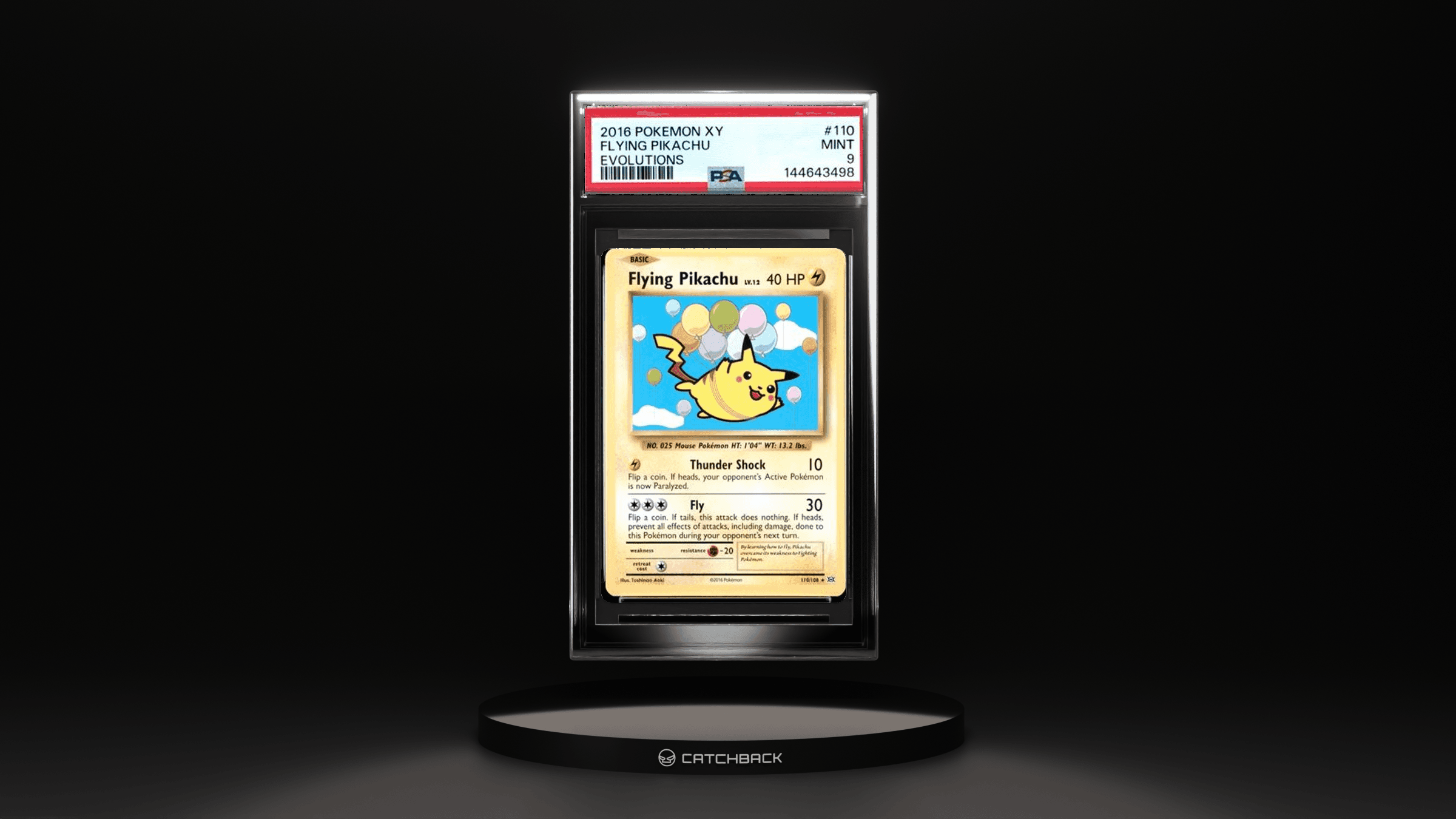 Flying Pikachu Evolutions
