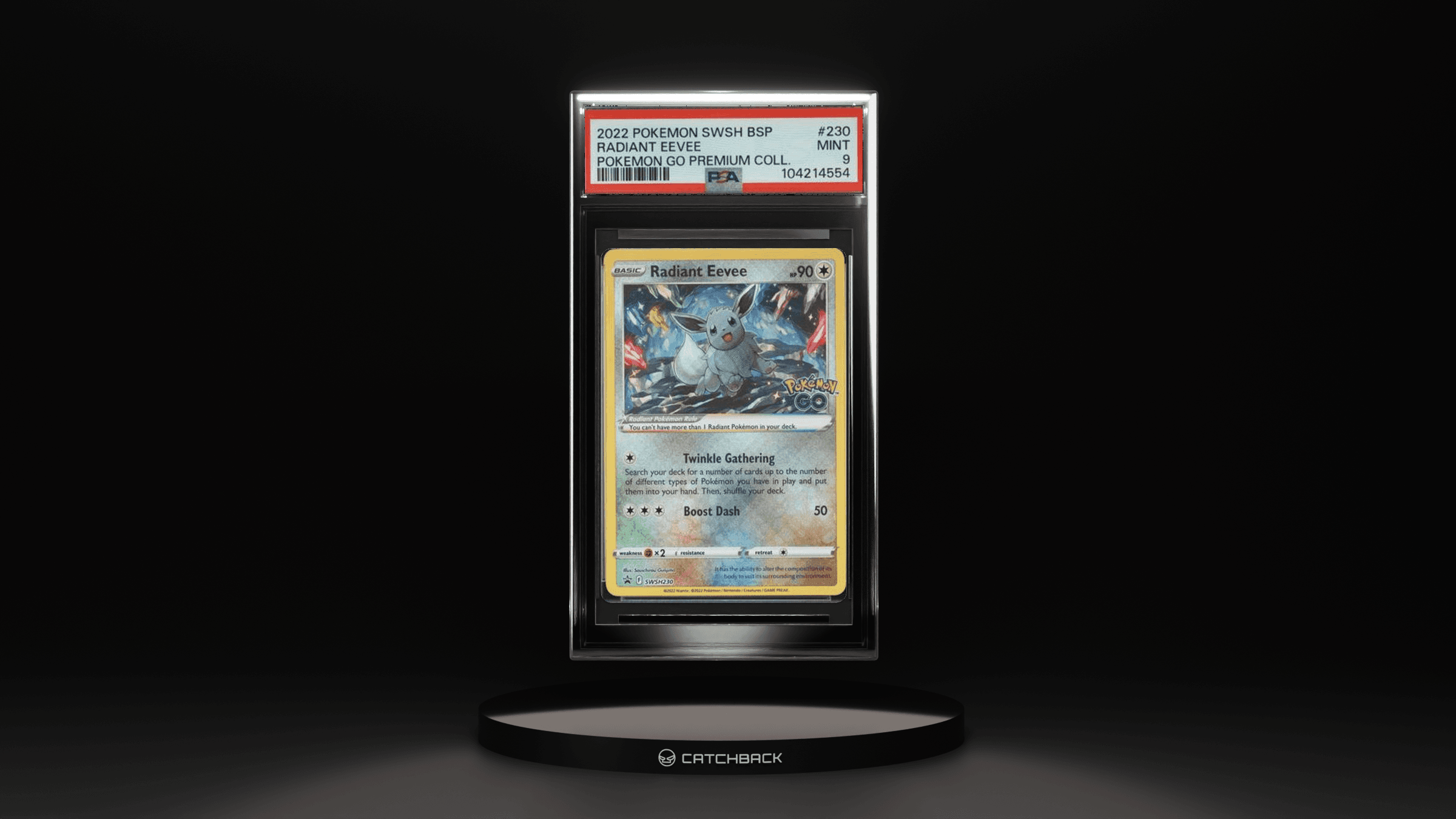 Radiant Eevee Pokemon Go Premium Coll.