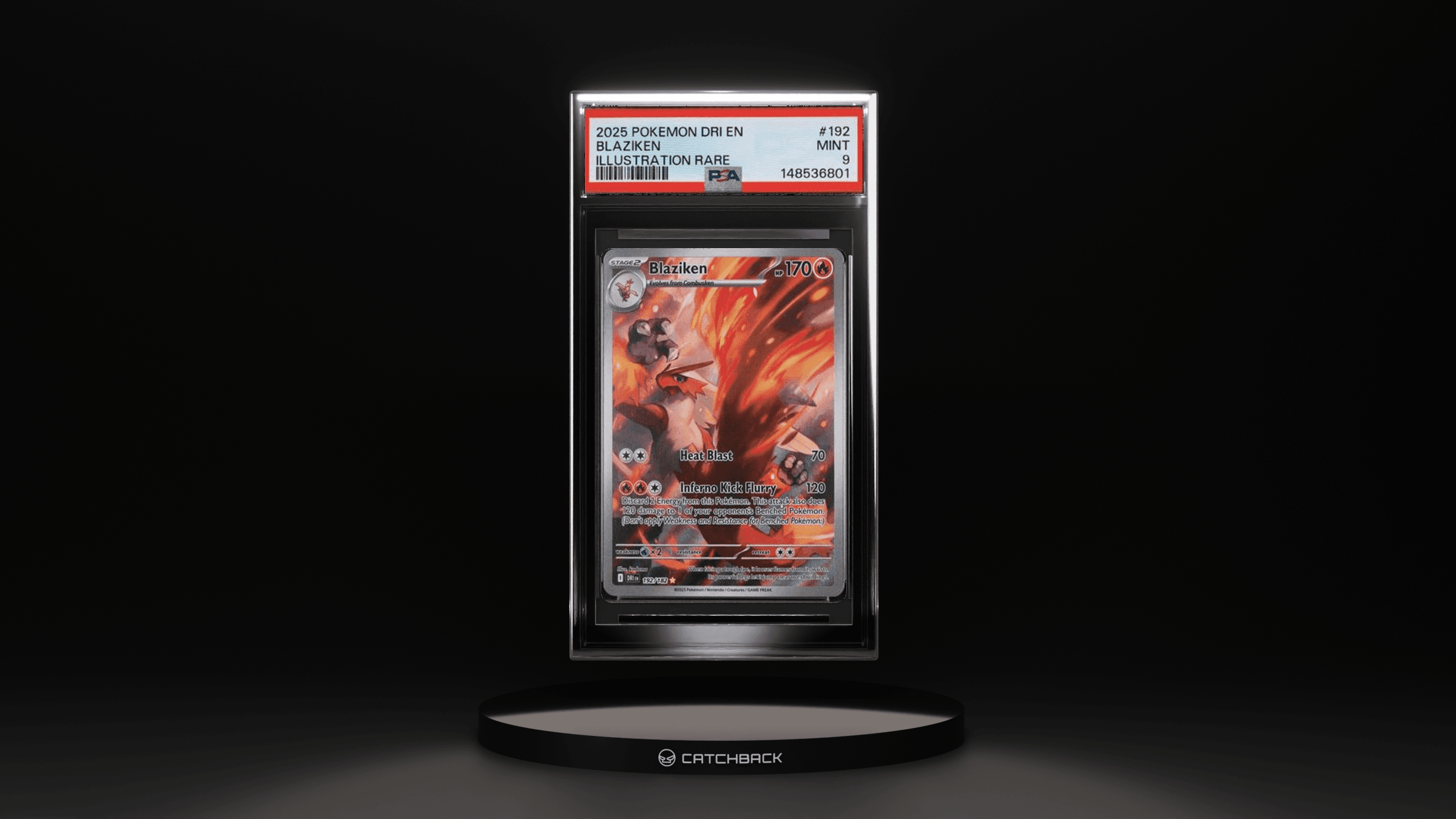 Blaziken Illustration Rare