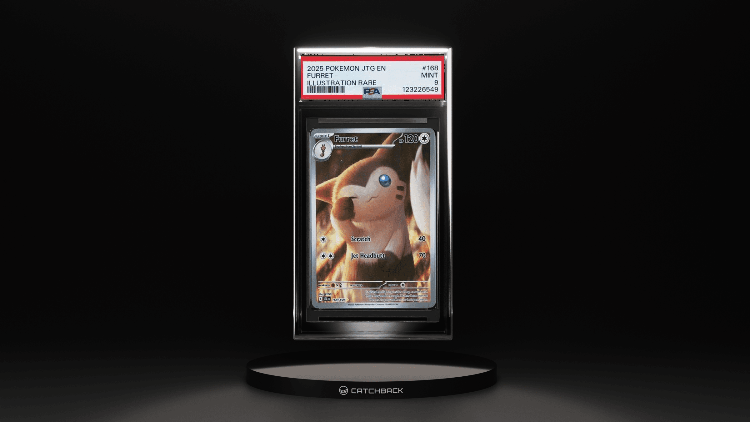 Furret Illustration Rare