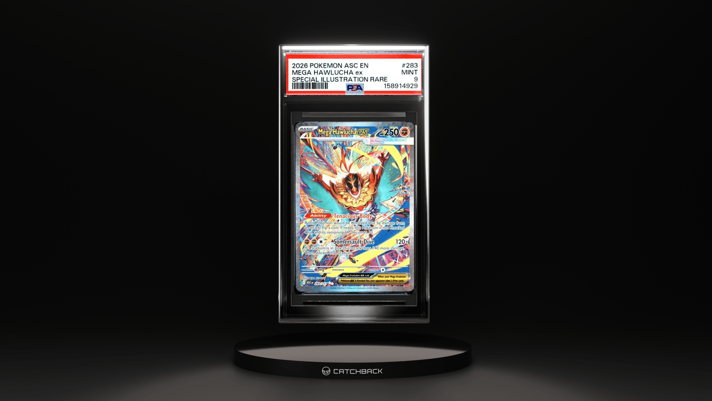 Mega Hawlucha Ex Special Illustration Rare