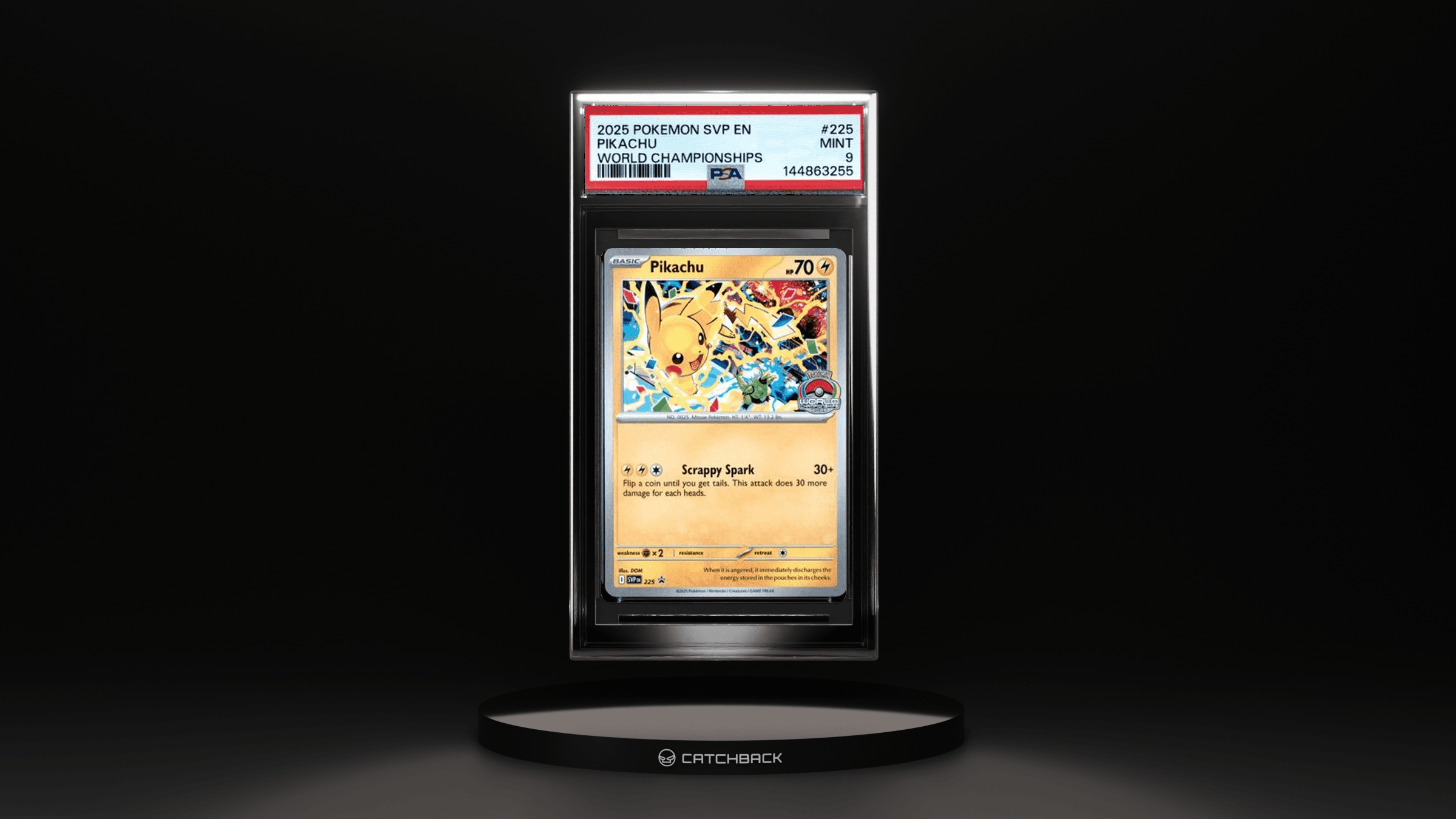 Pikachu World Championships