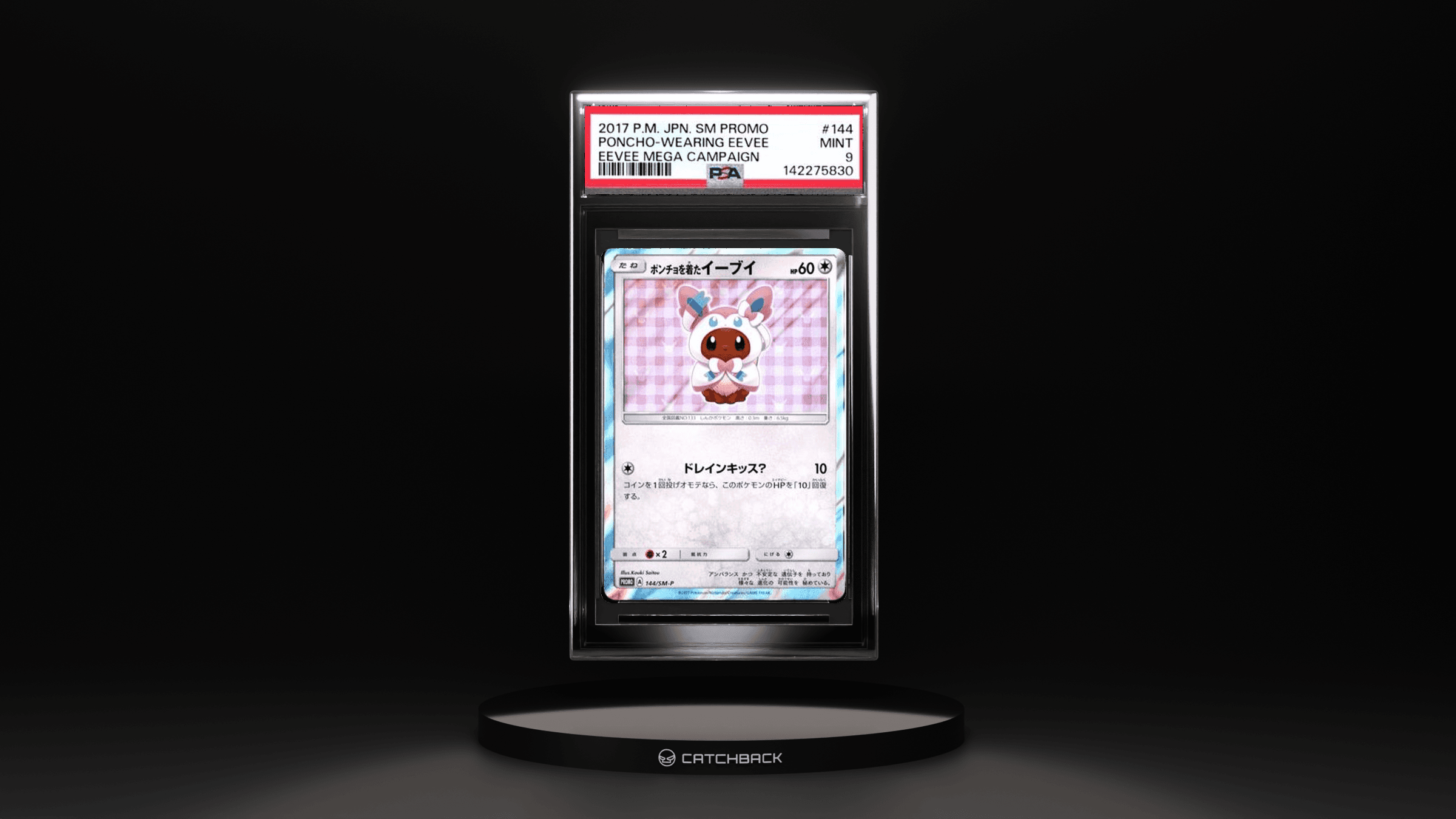Poncho-wearing Eevee Eevee Mega Campaign