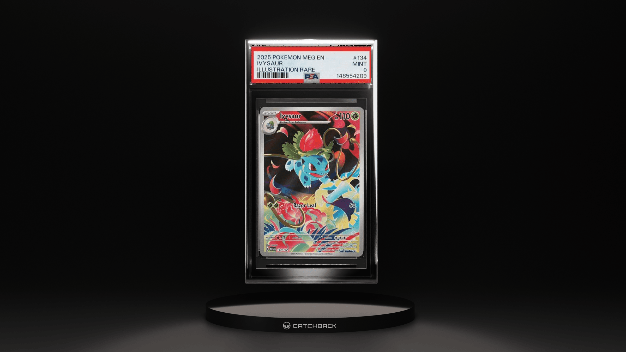 Ivysaur Illustration Rare