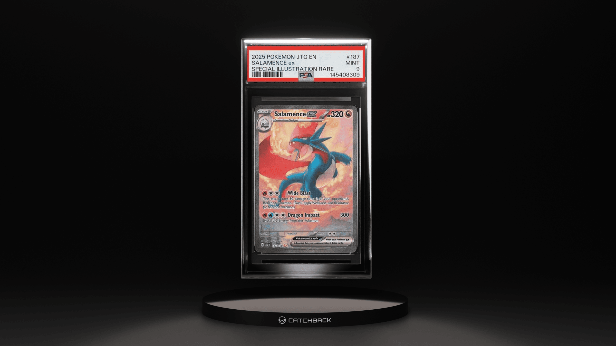 Salamence Ex Special Illustration Rare