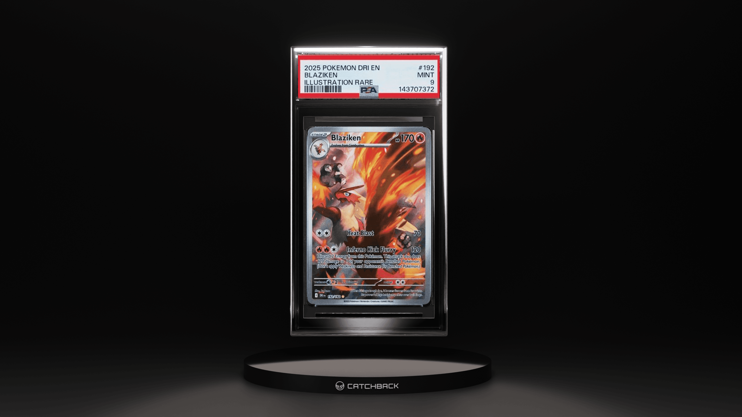 Blaziken Illustration Rare