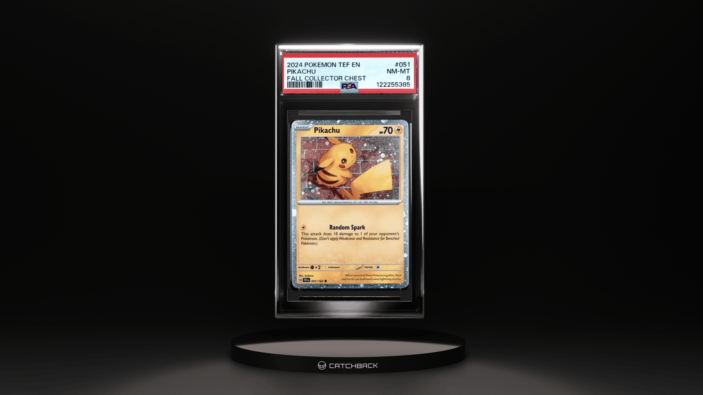 Pikachu Fall Collector Chest